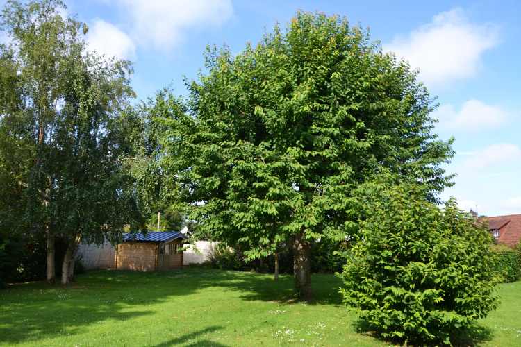 biens/1/59842a32e278ebc44457550b5f7800e5/photo_7f402b240c5eb7760fe88d6478f705bf.jpg