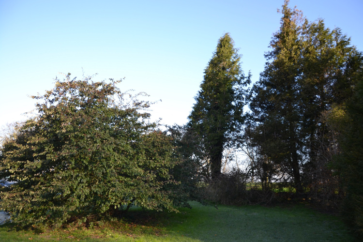 biens/1/6b2e4e75f5ce98c86164fe0597f8e8d2/photo_042a2083b0f426cf9d6e79ca643a926e.jpg