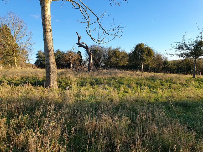 terrain à vendre entre les grandes ventes et londinières (76) · à Osmoy St Valery · 42 000 €