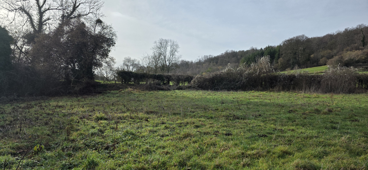 terrain à vendre d'environ 1600 m² torcy-le-grand (76) · 72 000 €
