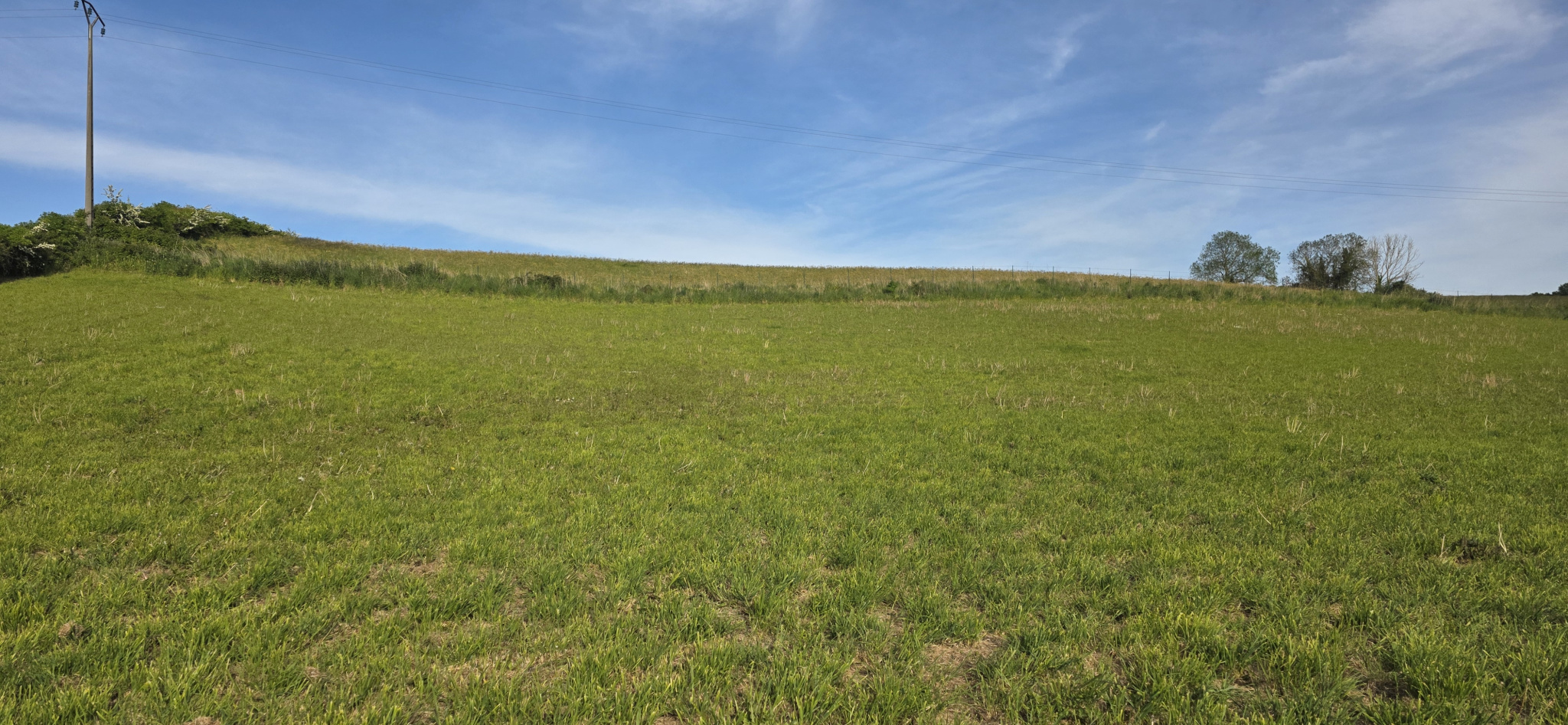 Image_, Terrain, Torcy-le-Petit, ref :1393/SR