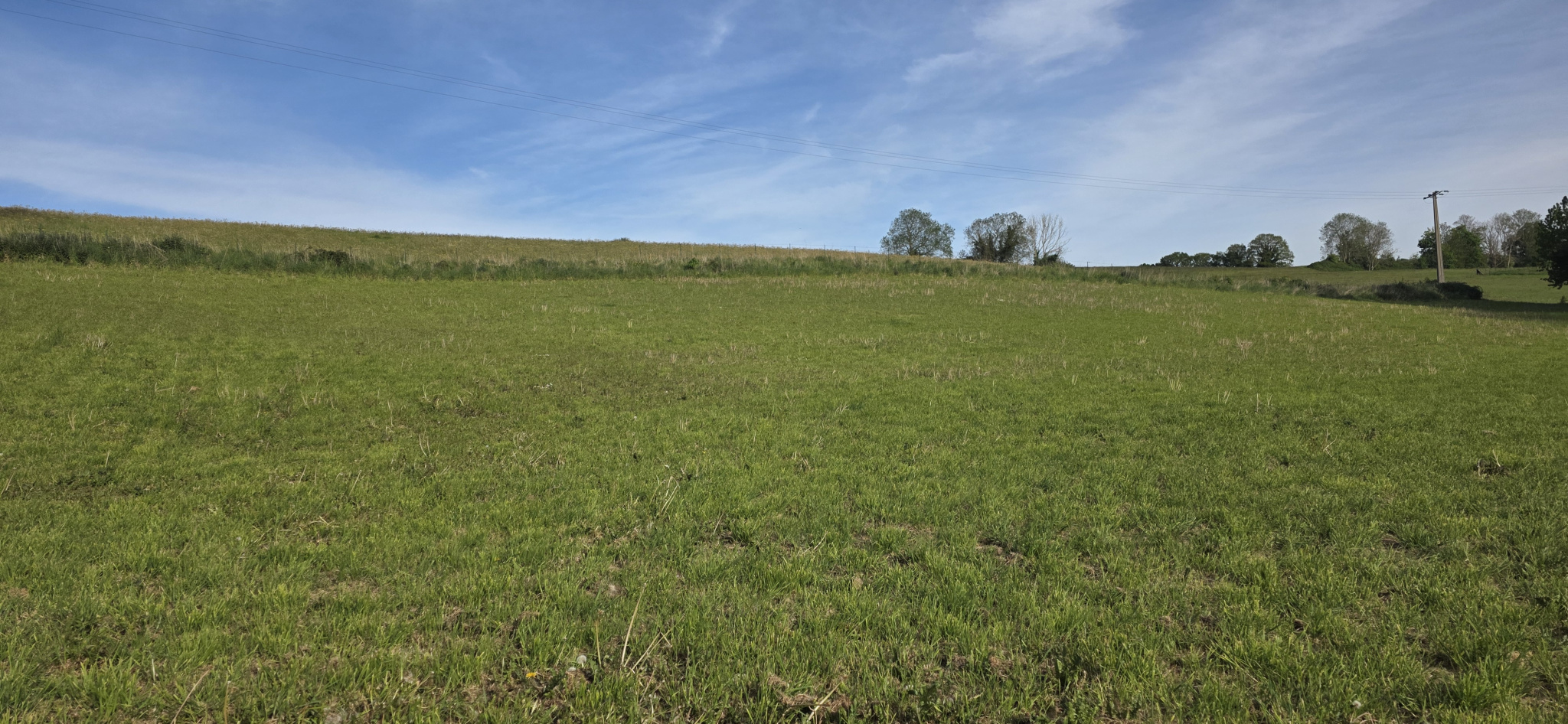 Image_, Terrain, Torcy-le-Petit, ref :1393/SR