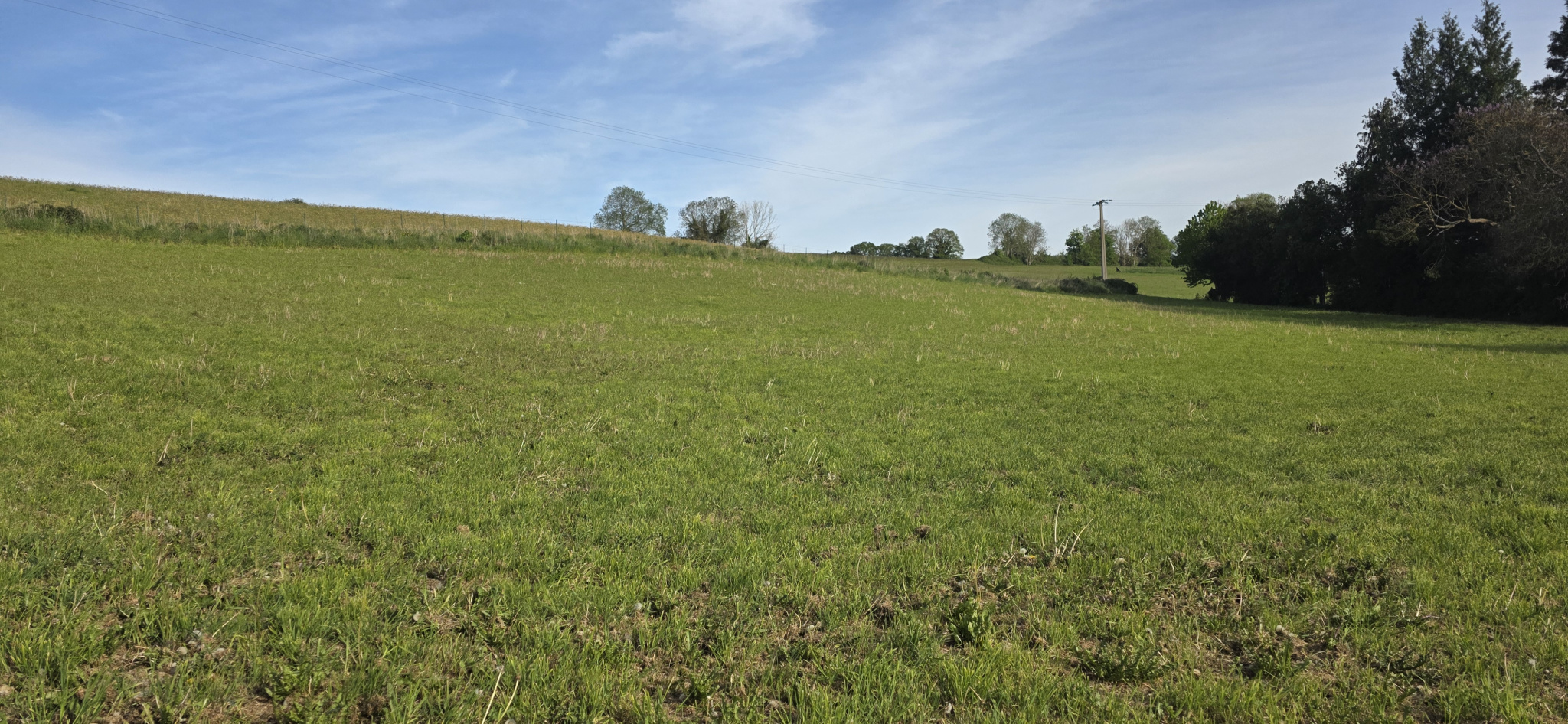 Image_, Terrain, Torcy-le-Petit, ref :1393/SR