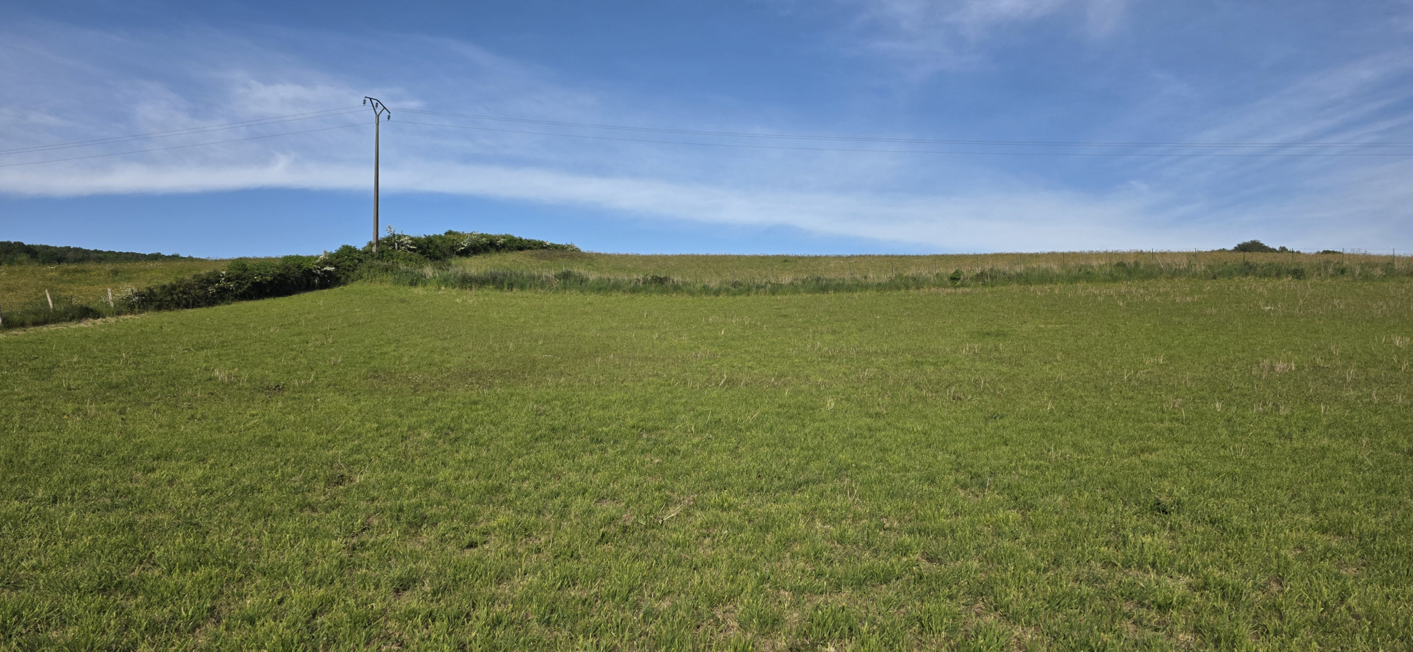Image_, Terrain, Torcy-le-Petit, ref :1393/SR