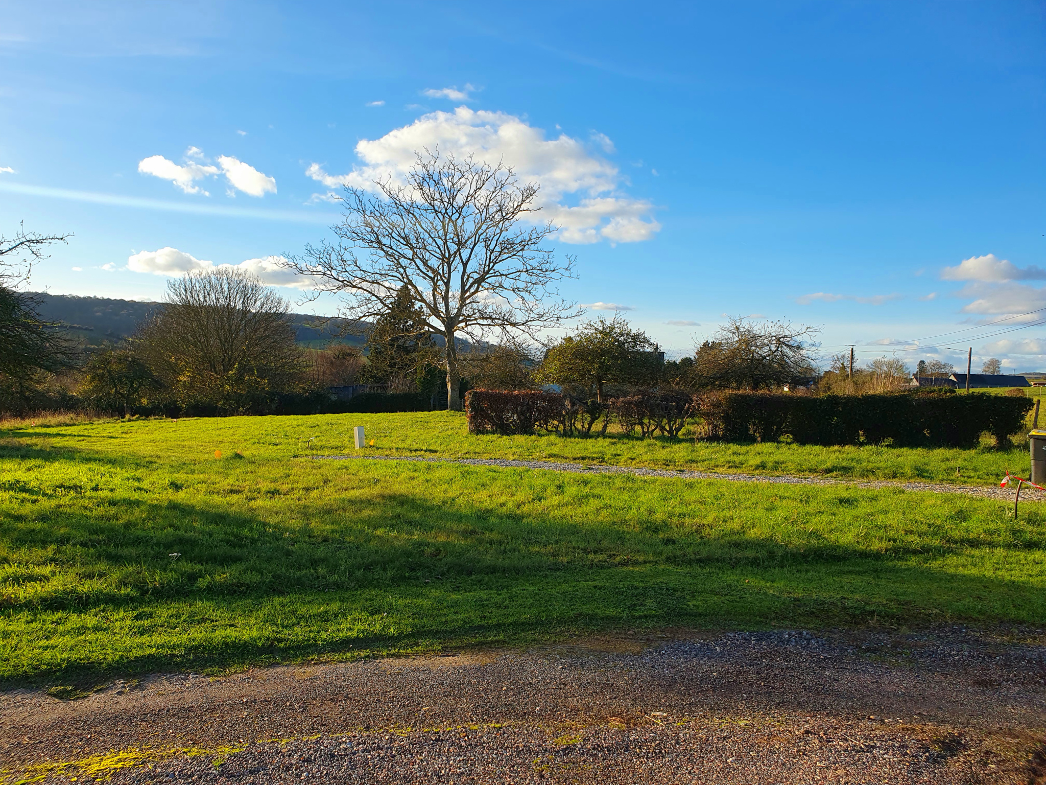 Image_, Terrain, Osmoy-Saint-Valery, ref :1349/SR