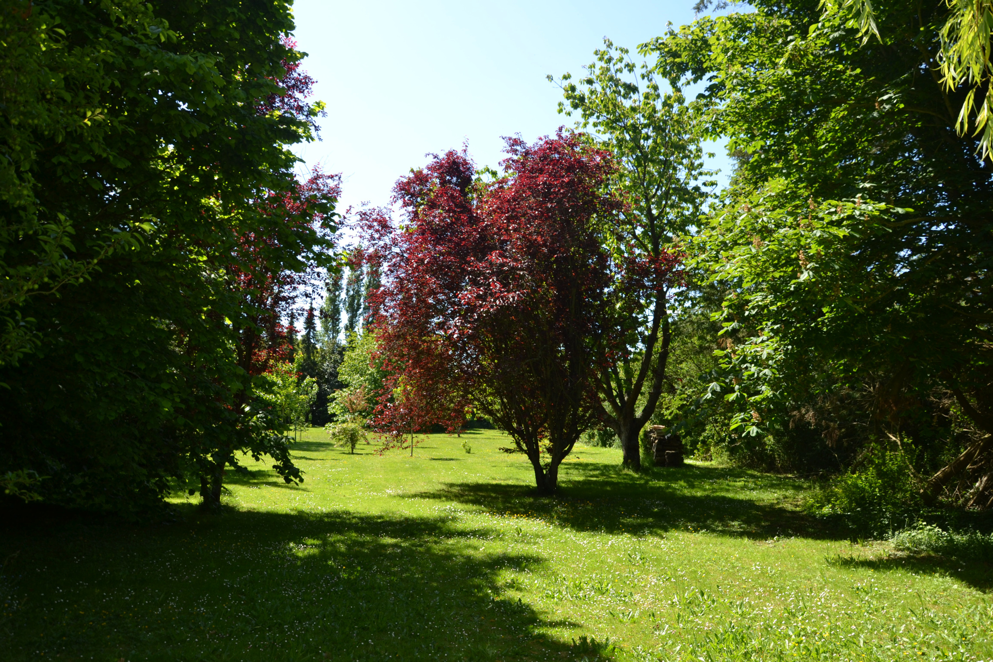 Image_, Maison, Veulettes-sur-Mer, ref :1316fr
