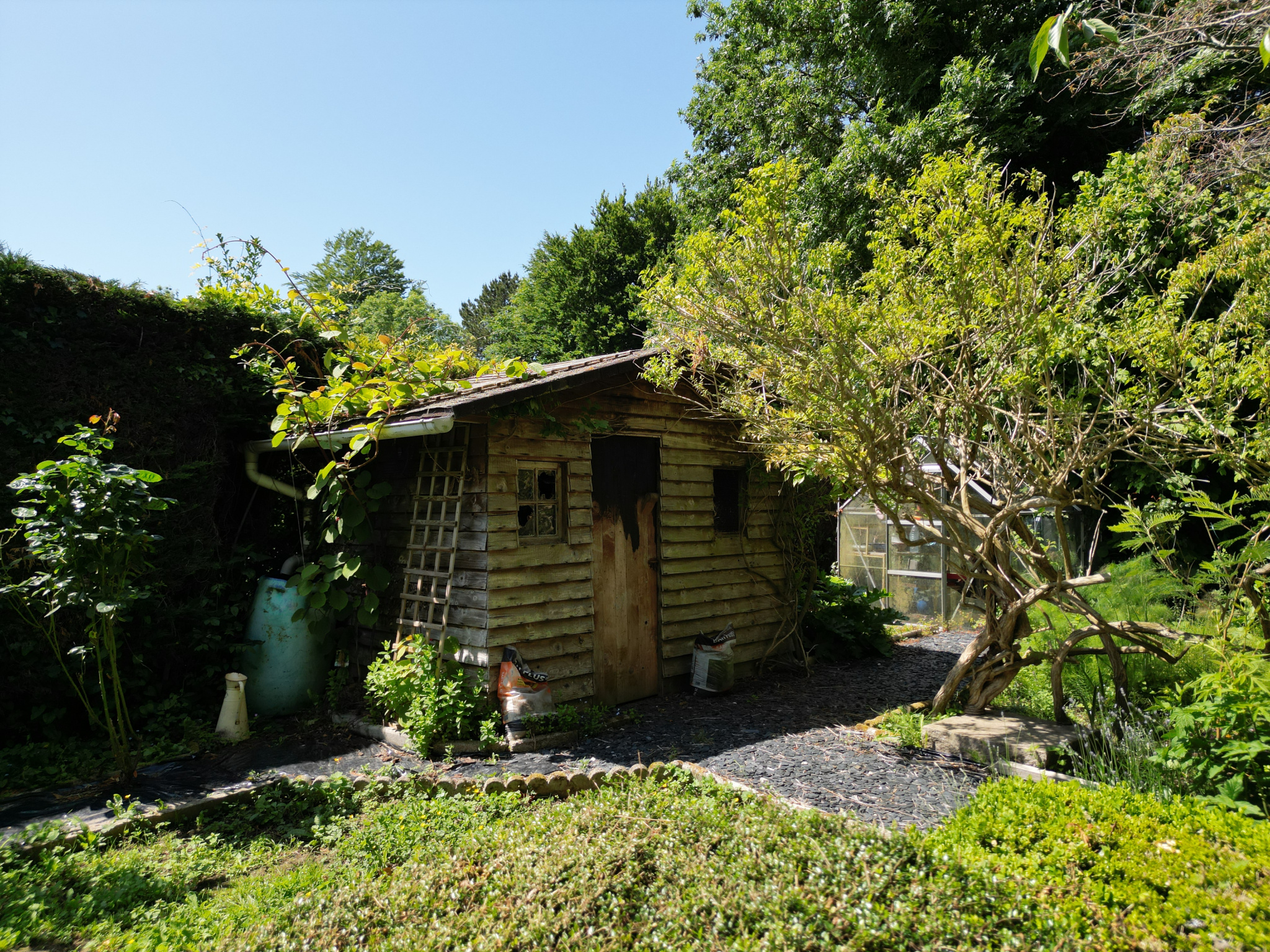 Image_, Maison, Veulettes-sur-Mer, ref :1316fr