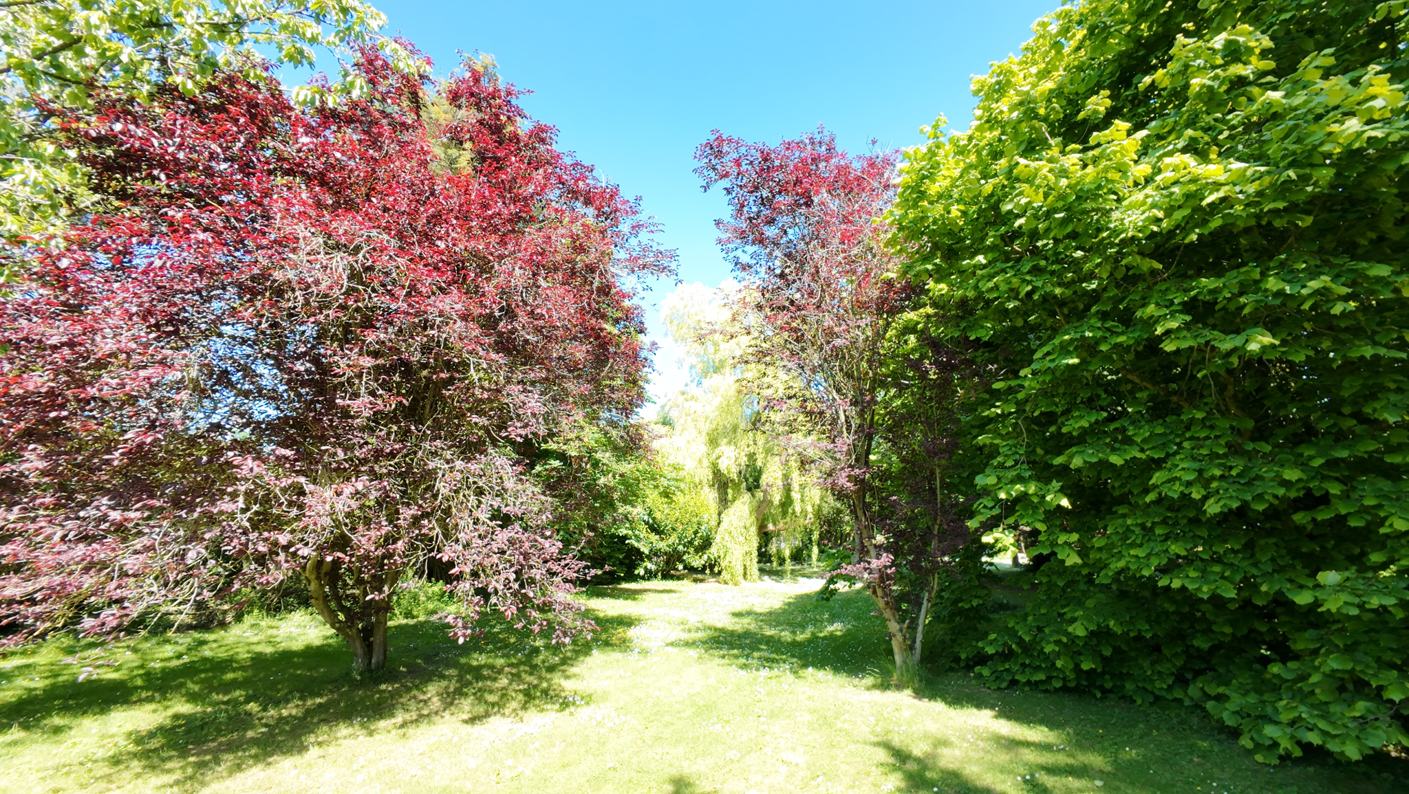 Image_, Maison, Veulettes-sur-Mer, ref :1316fr
