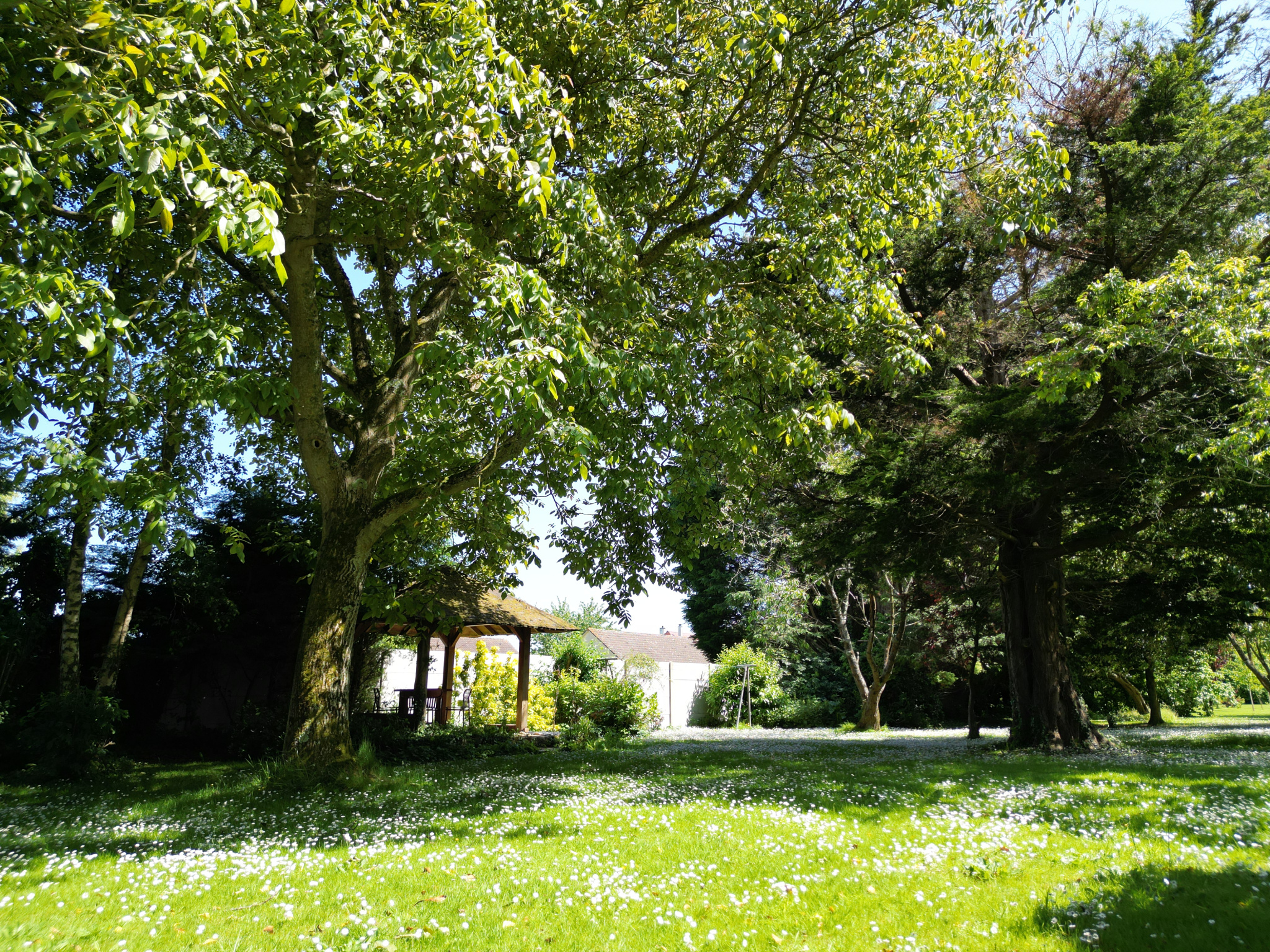 Image_, Maison, Veulettes-sur-Mer, ref :1316fr