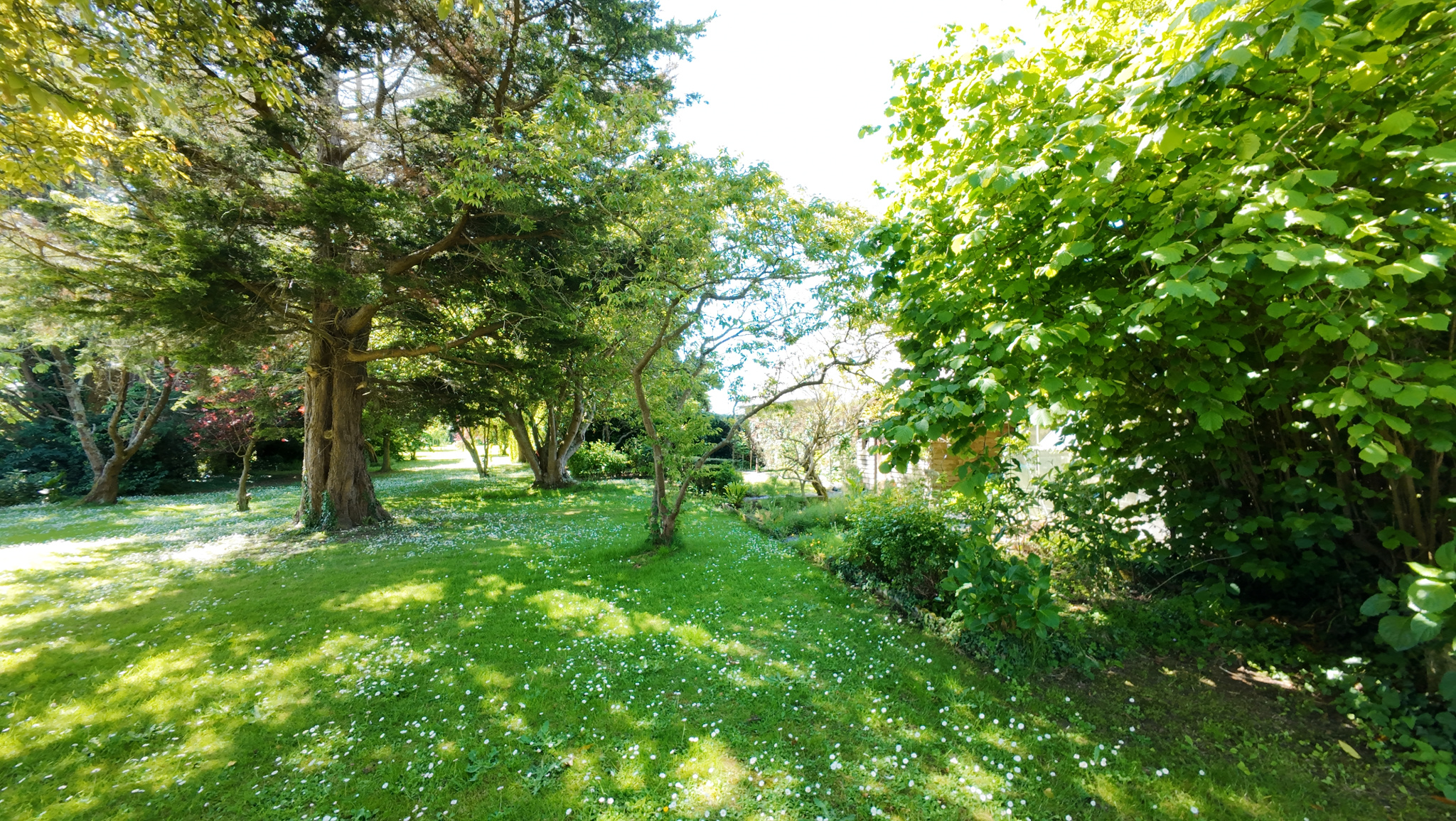 Image_, Maison, Veulettes-sur-Mer, ref :1316fr