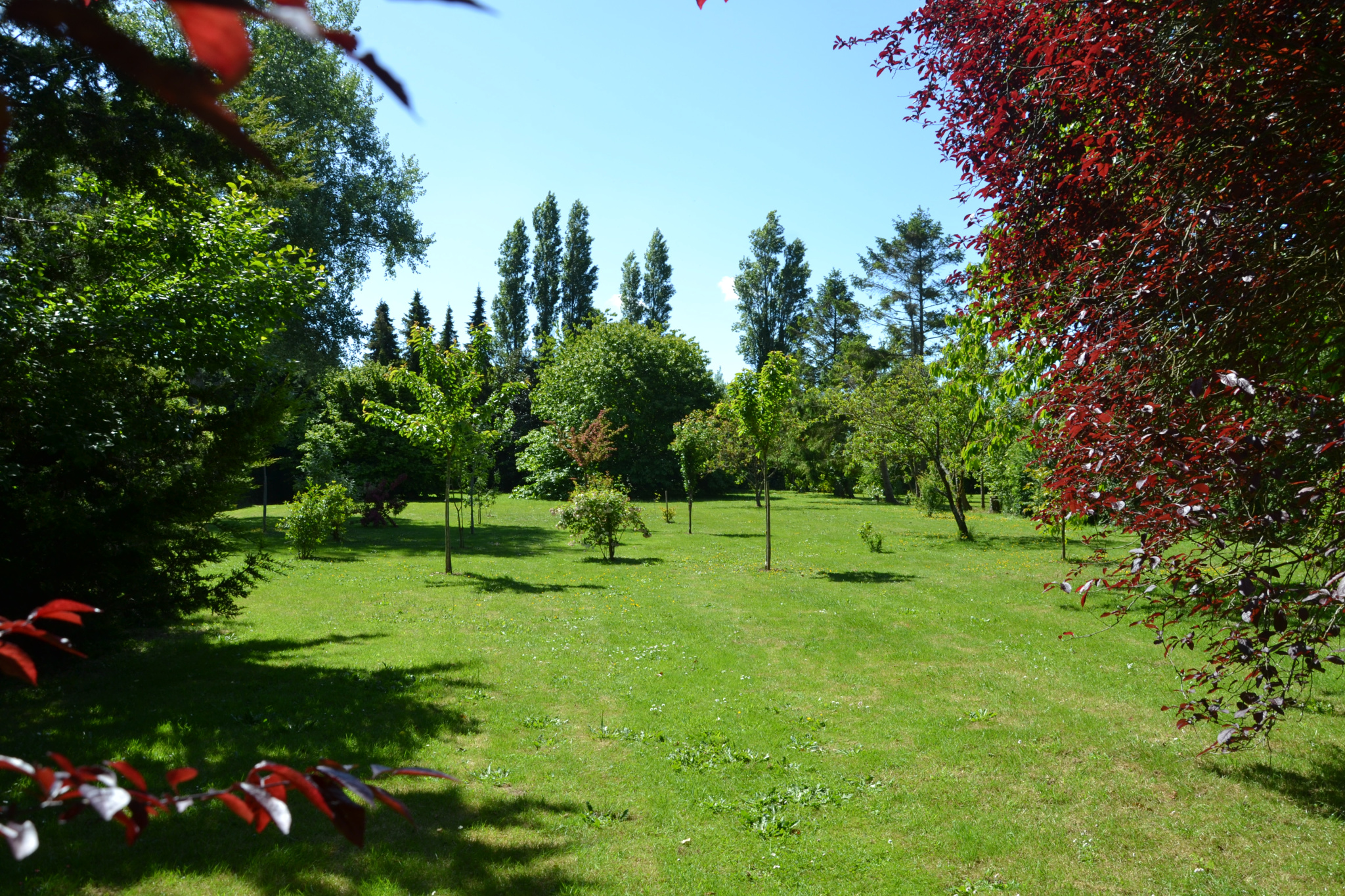 Image_, Maison, Veulettes-sur-Mer, ref :1316fr