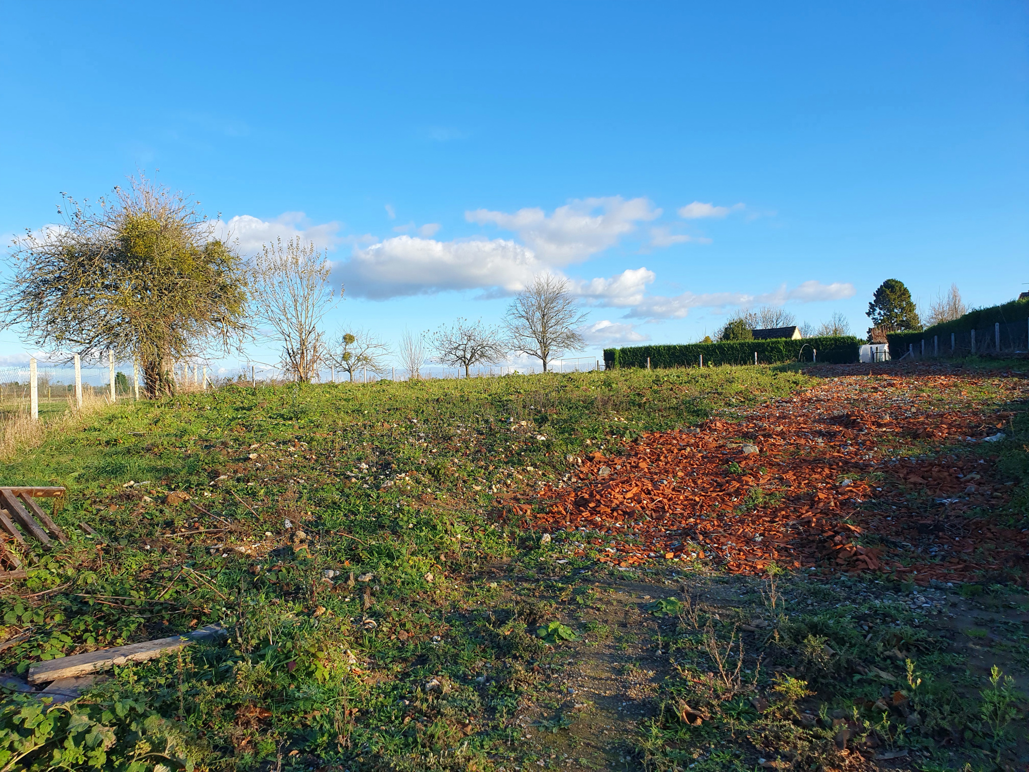 Image_, Terrain, Critot, ref :1358/SR