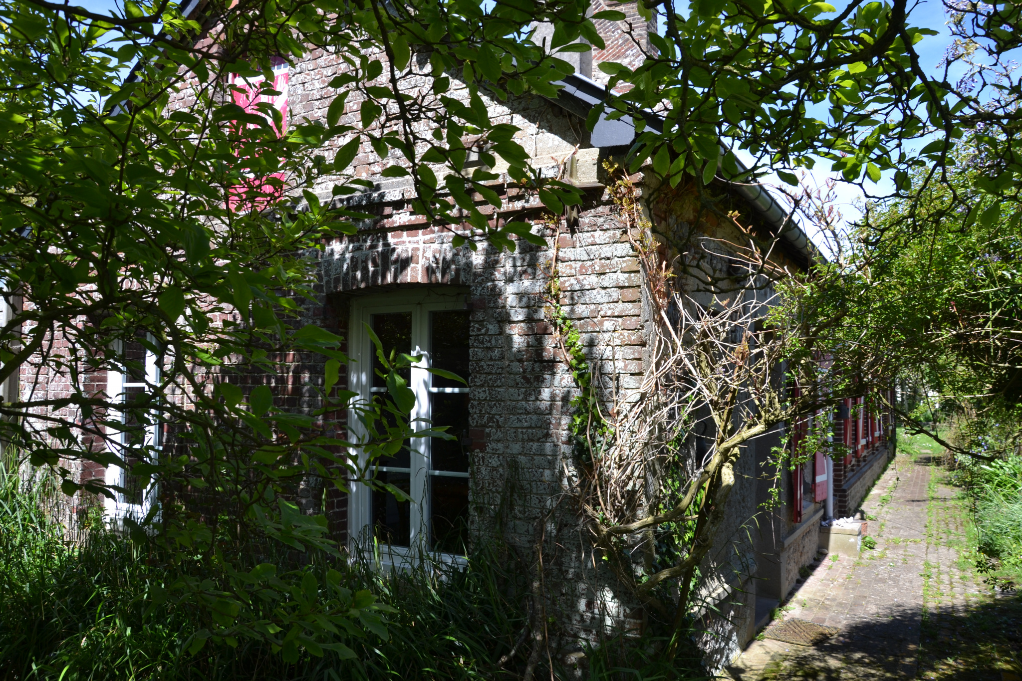 Image_, Maison, Veulettes-sur-Mer, ref :1231FR