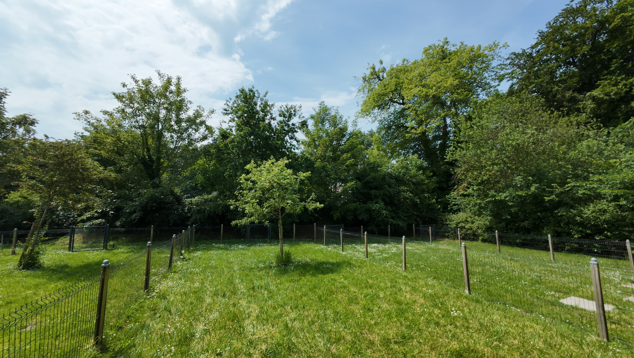 Image_, Maison, Ingouville, ref :1403fr