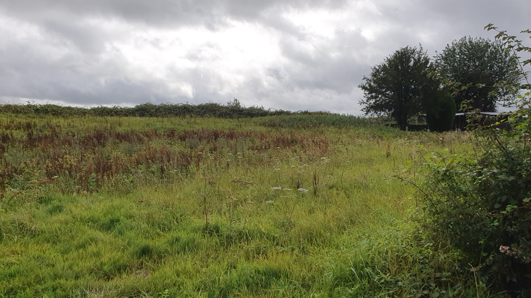 Image_, Terrain, Vieux-Manoir, ref :1334/SR