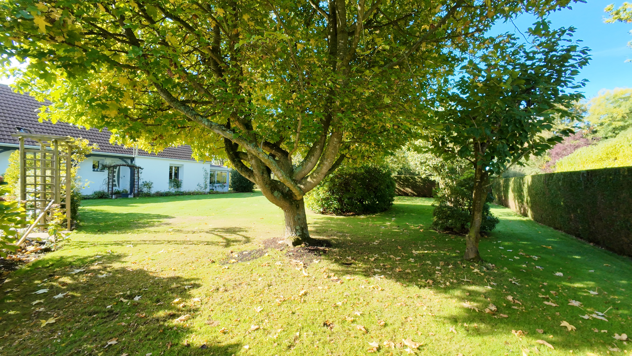 Image_, Maison, Varengeville-sur-Mer, ref :1421KD