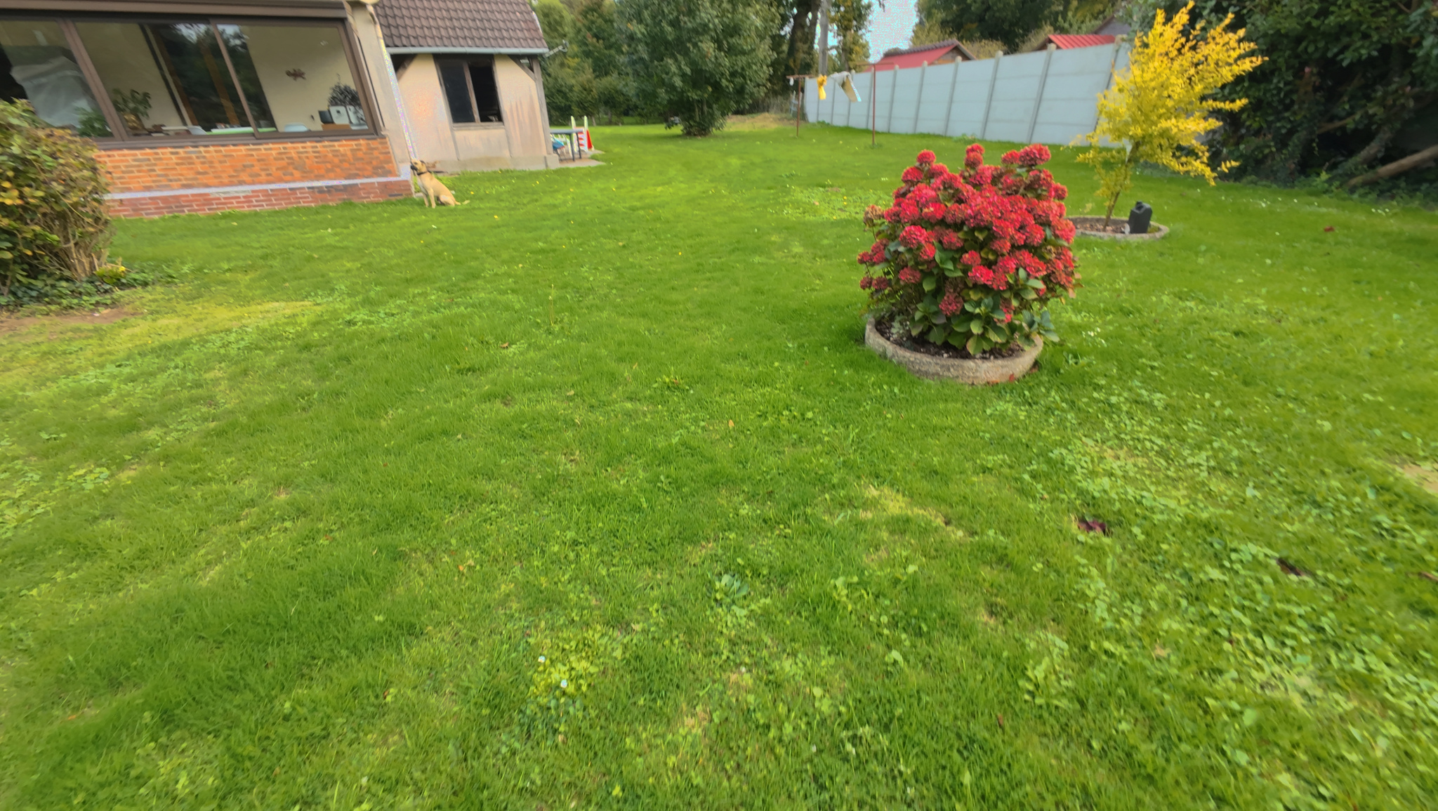 Image_, Maison, Cailleville, ref :1339fr