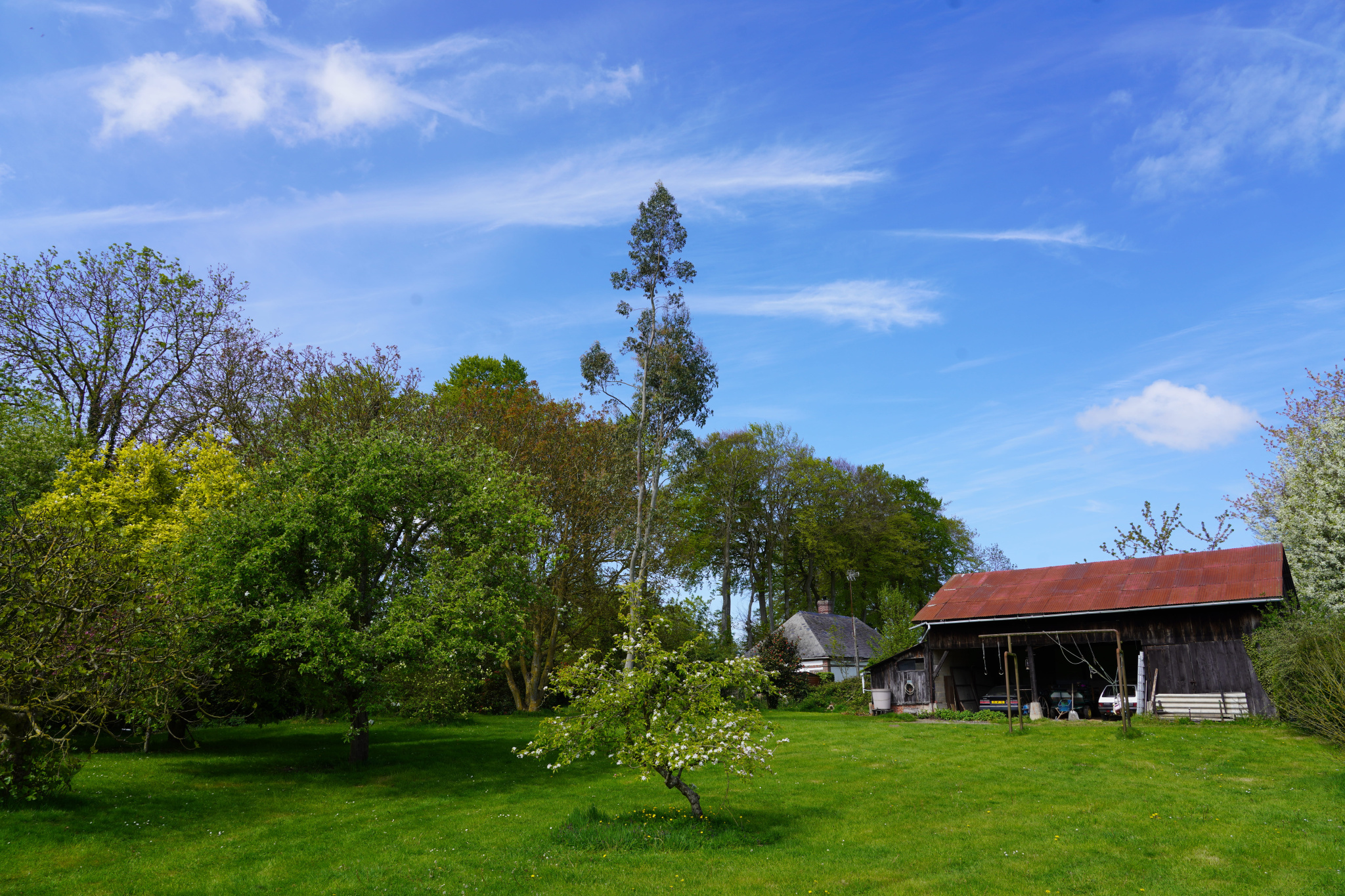 Image_, Maison, Saint-Valery-en-Caux, ref :1390FR