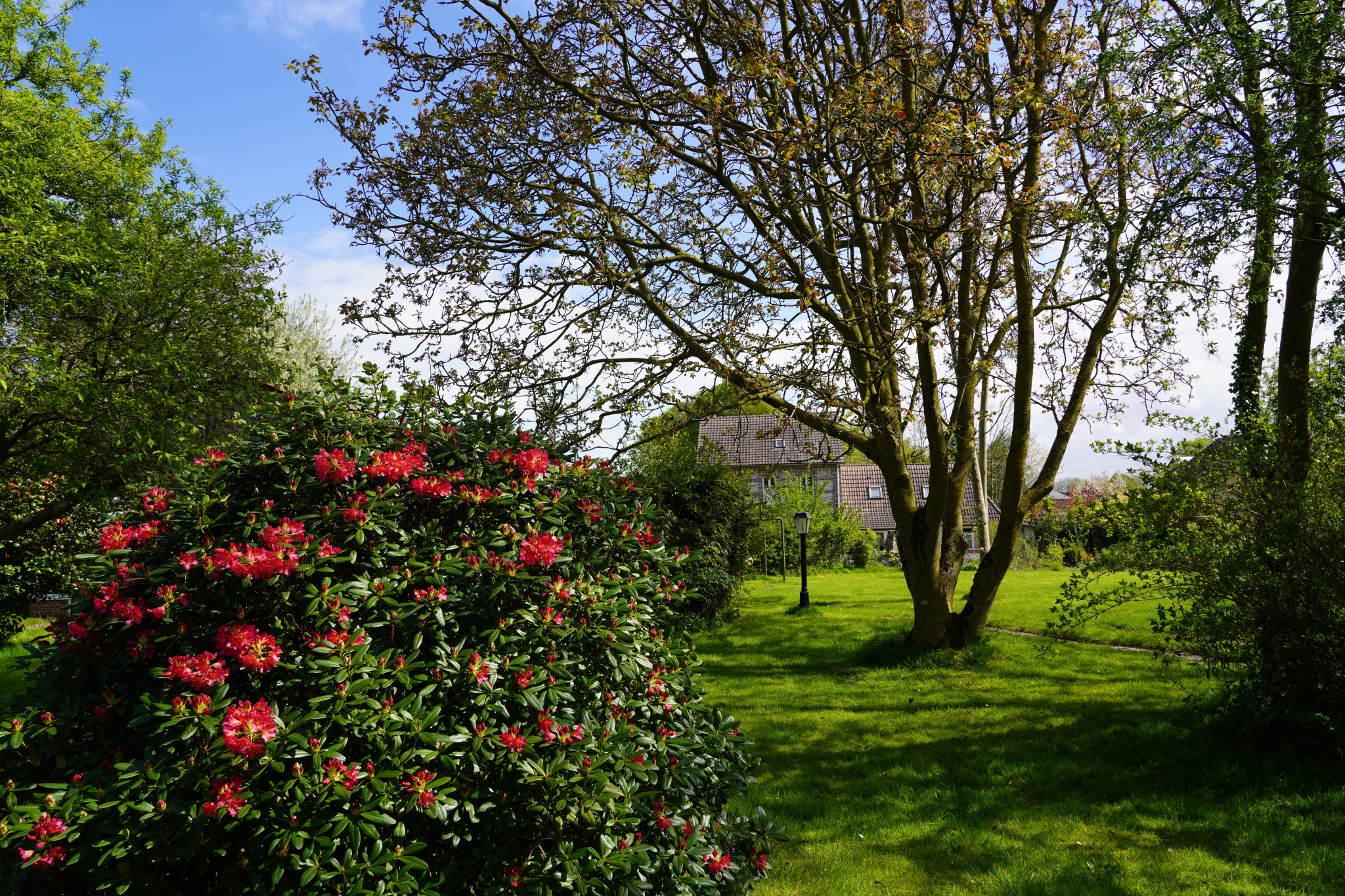 Image_, Maison, Saint-Valery-en-Caux, ref :1390FR