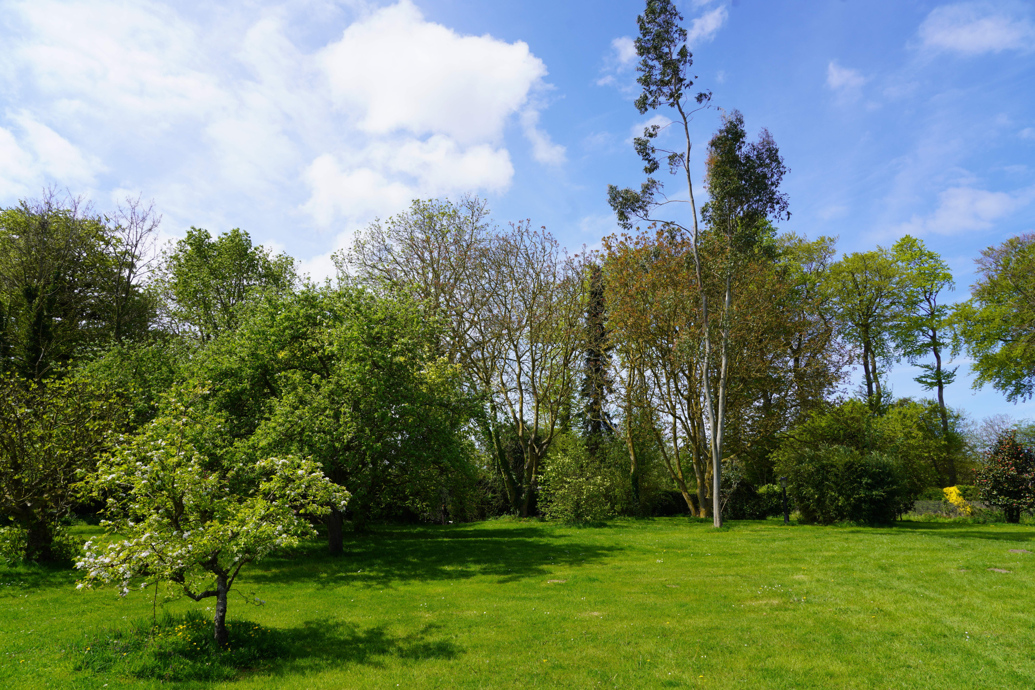 Image_, Maison, Saint-Valery-en-Caux, ref :1390FR