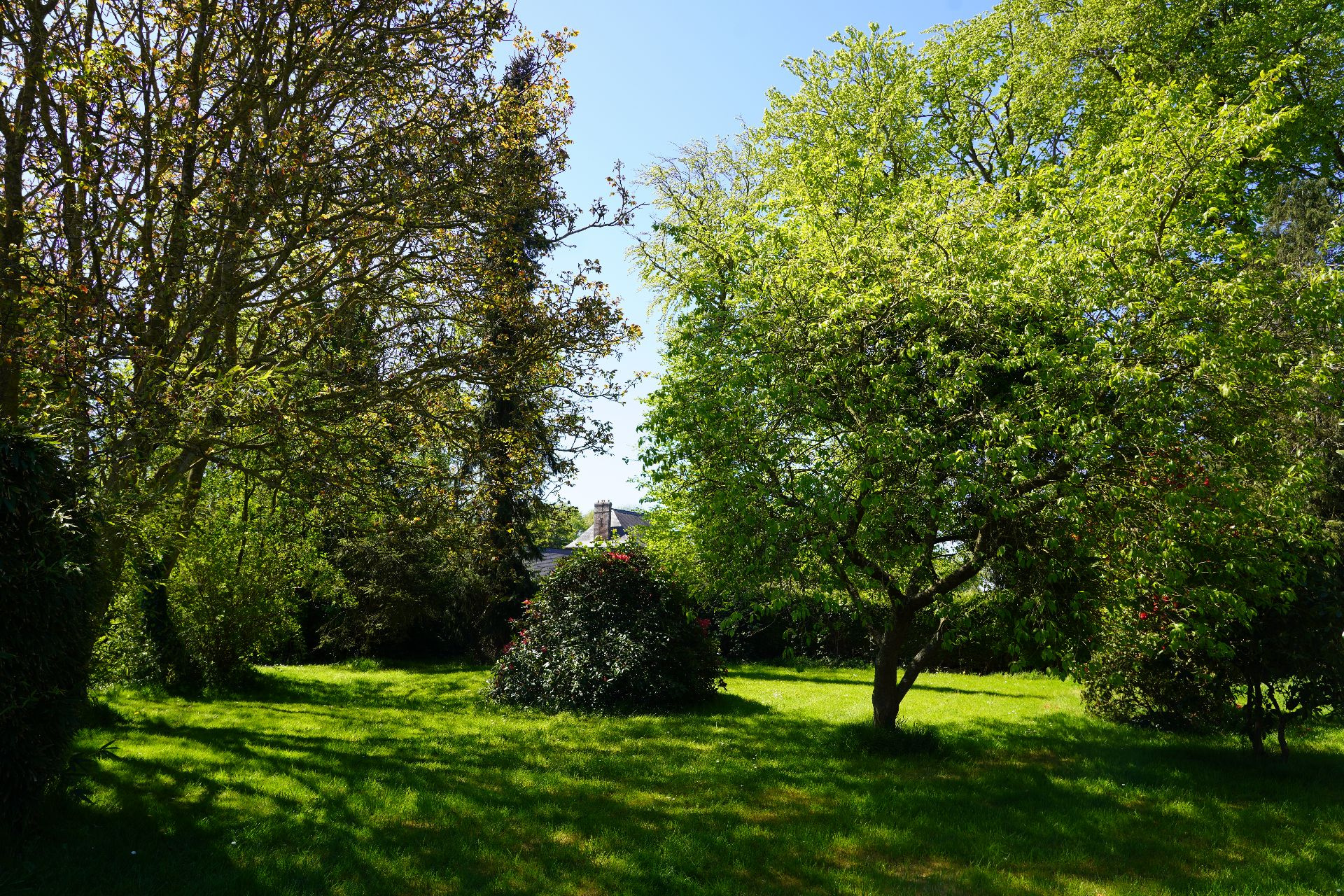 Image_, Maison, Saint-Valery-en-Caux, ref :1390FR