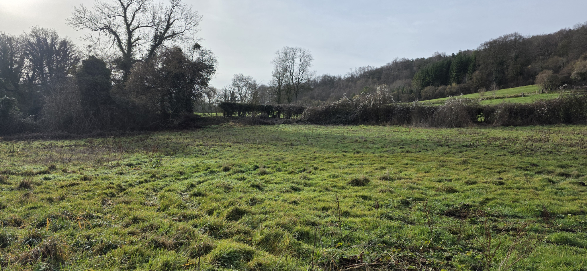 Image_, Terrain, Torcy-le-Grand, ref :1374/SR