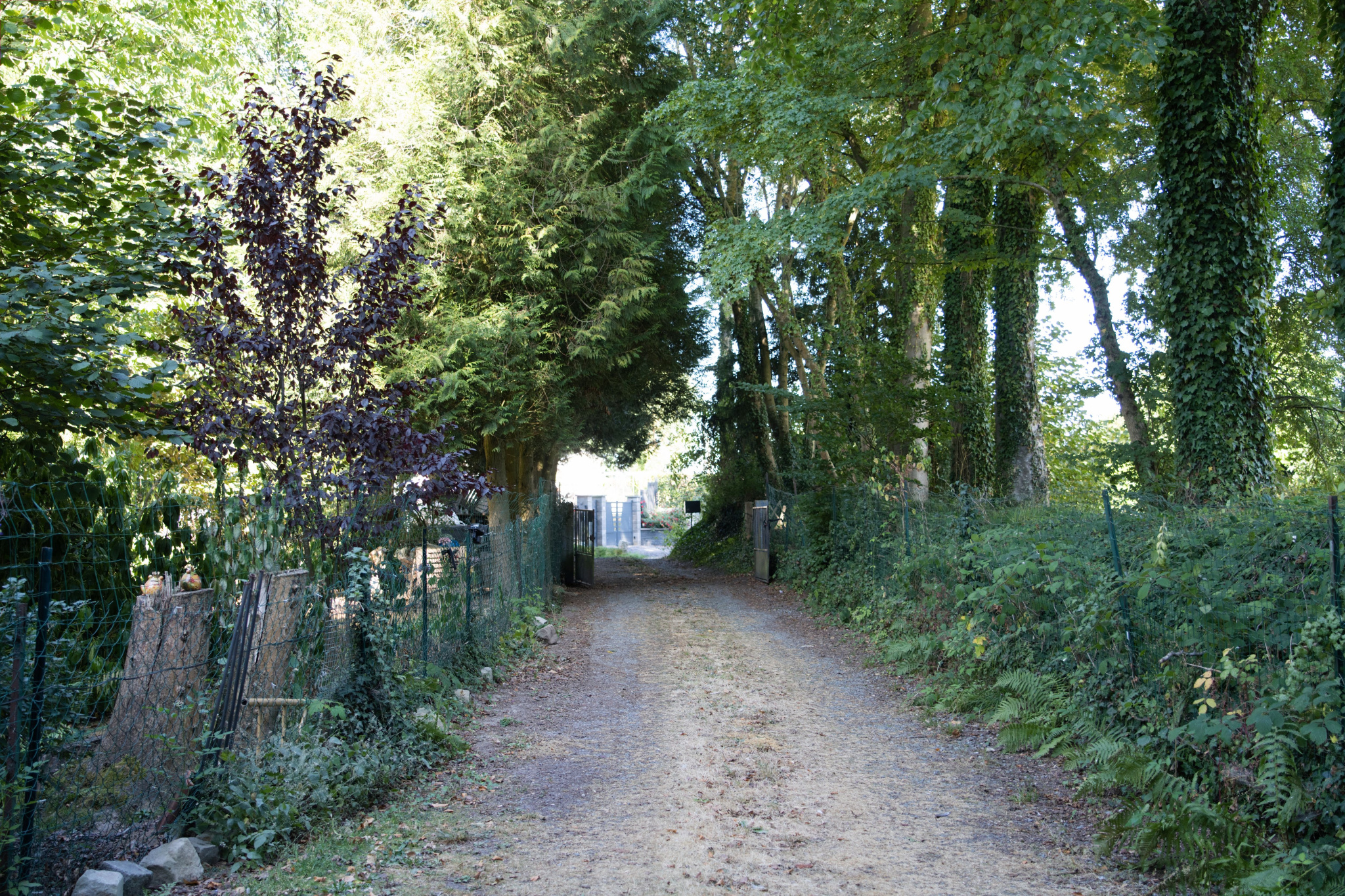 Image_, Maison, Bacqueville-en-Caux, ref :1415KD
