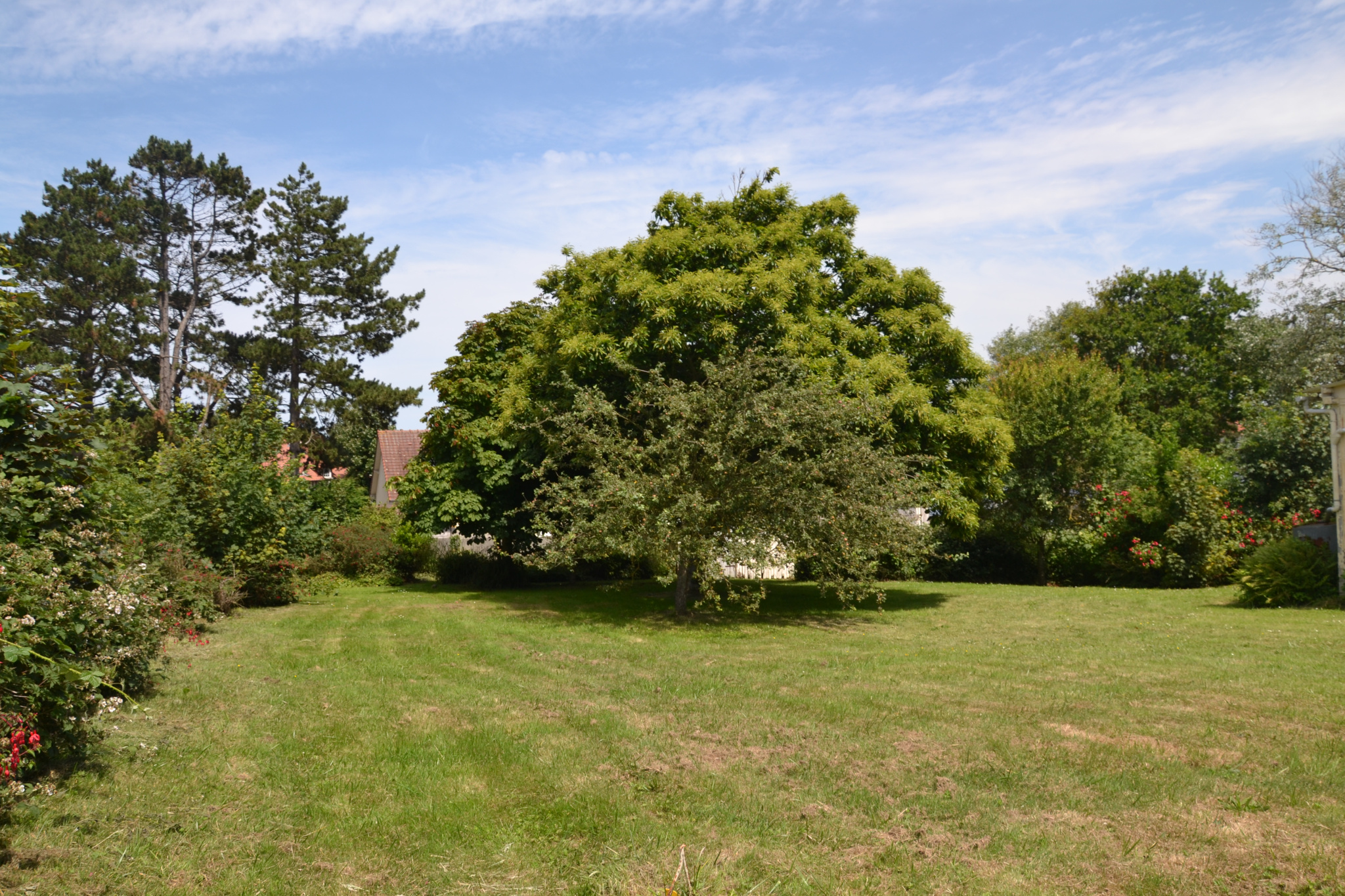 Image_, Chalet, Quiberville, ref :1324 KD