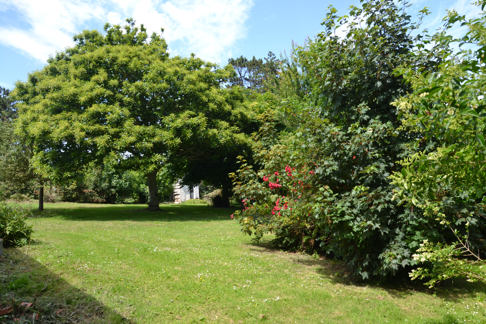 Image_, Chalet, Quiberville, ref :1324 KD