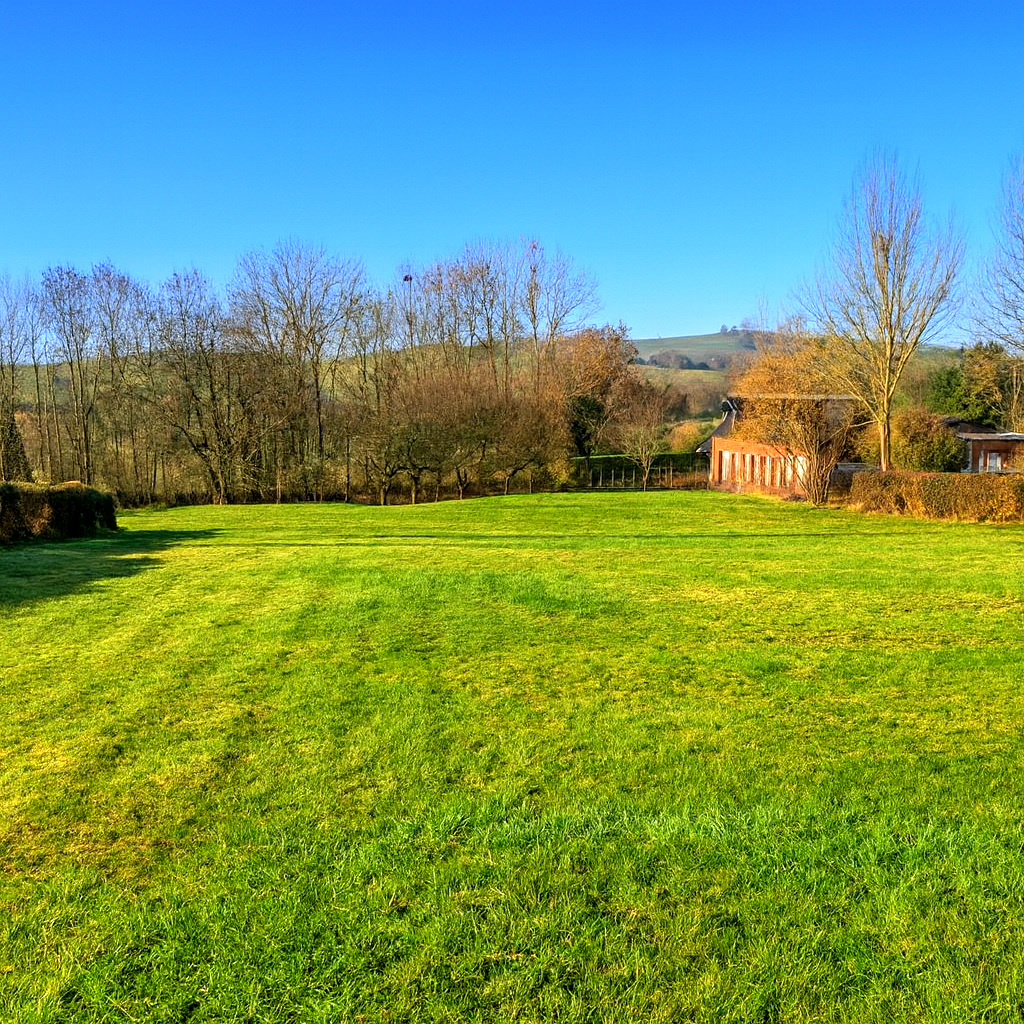 Image_, Terrain, Osmoy-Saint-Valery, ref :1360/SR