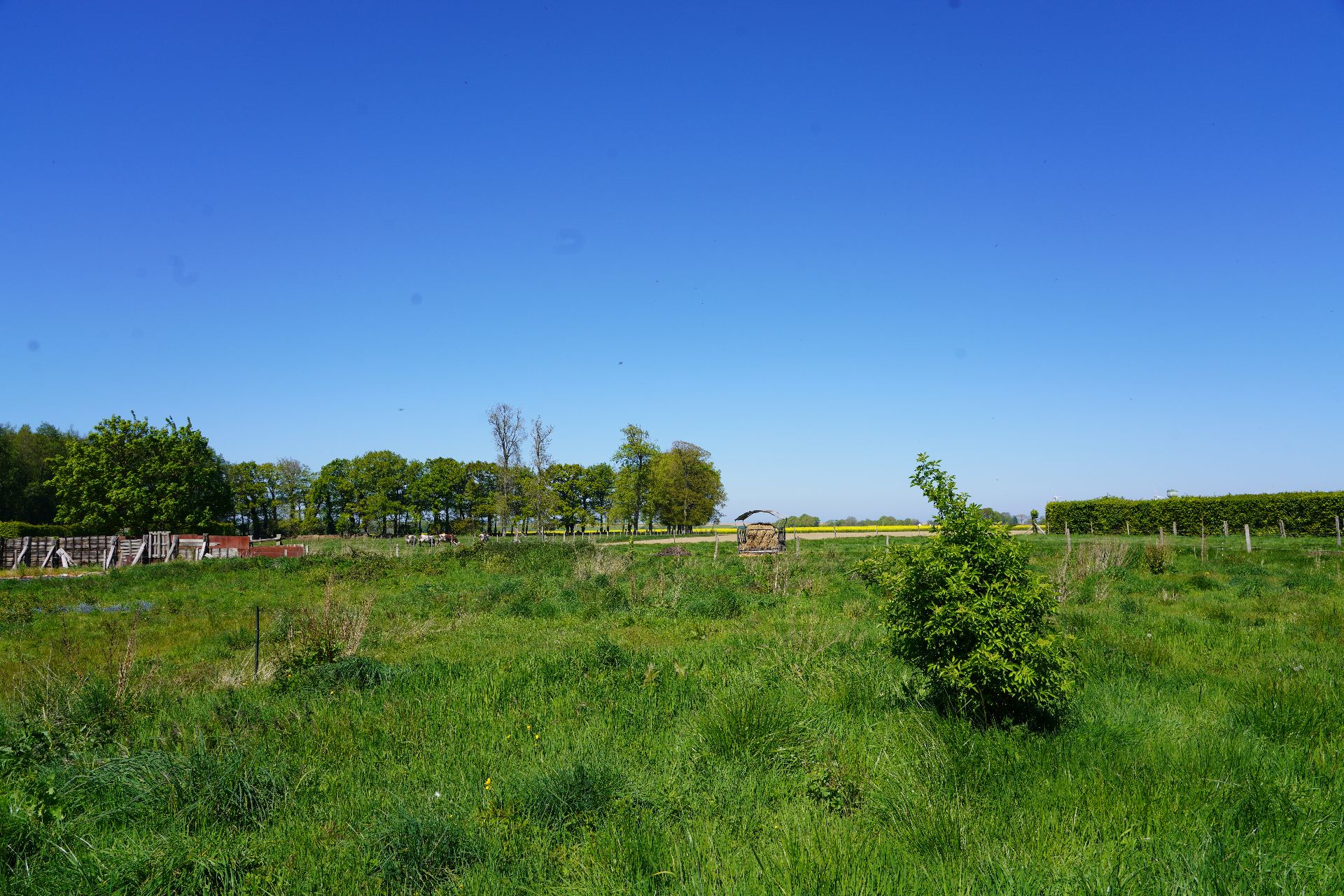 Image_, Maison, Gueutteville-les-Grès, ref :1379FR