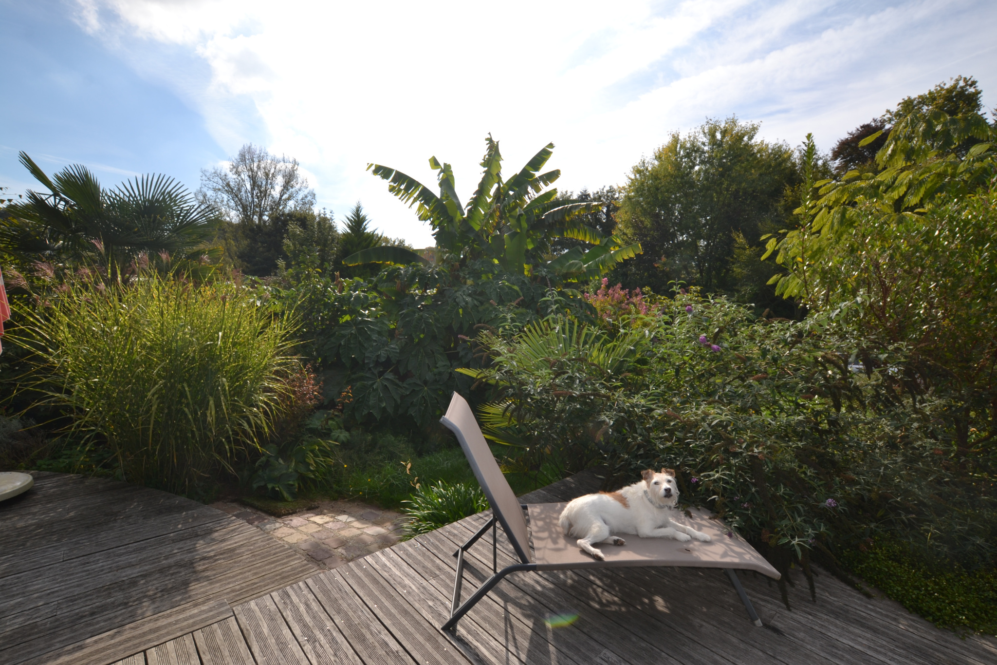 Image_, Maison, Luneray, ref :1341KD