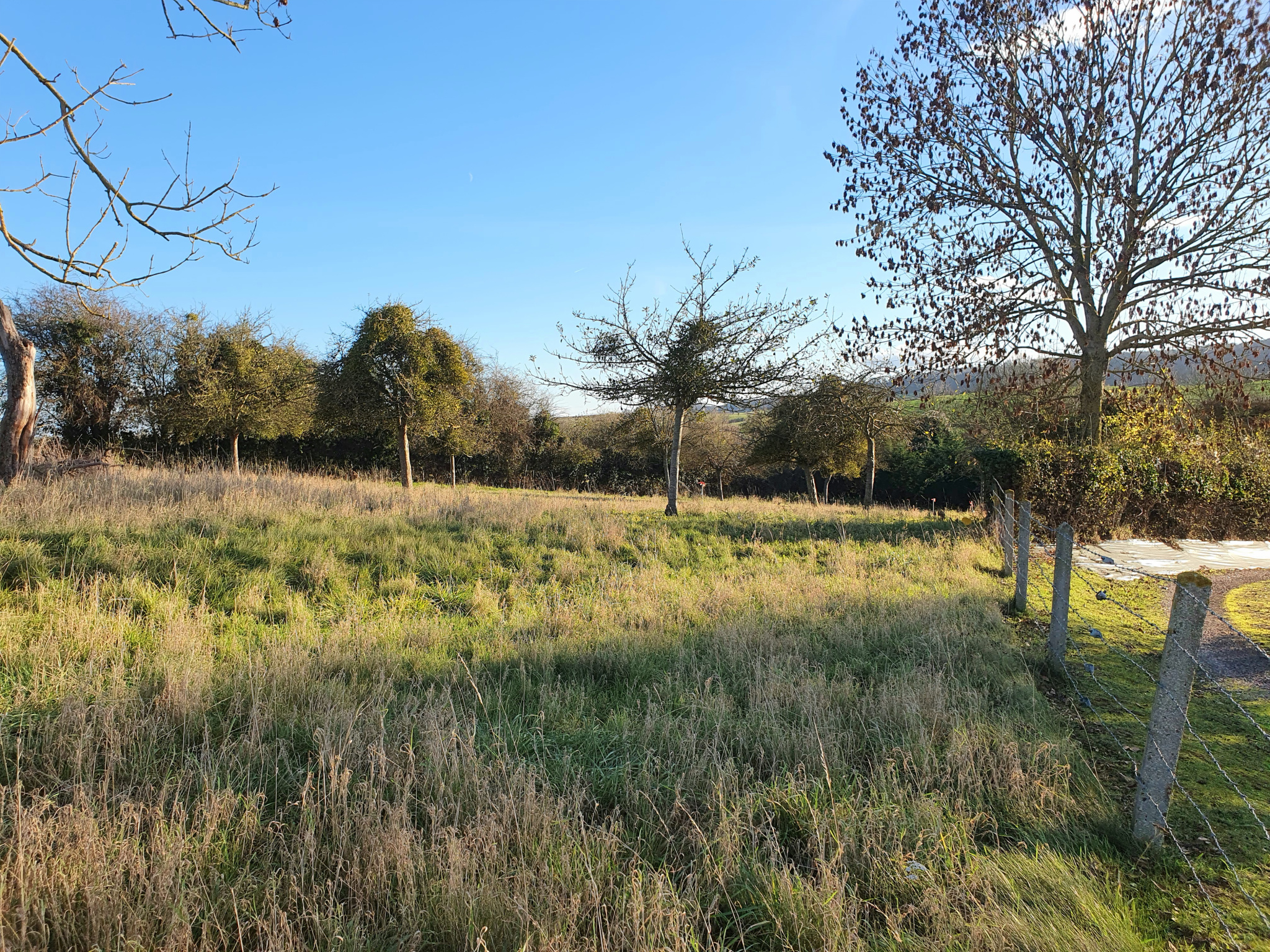 Image_, Terrain, Osmoy-Saint-Valery, ref :1350/SR