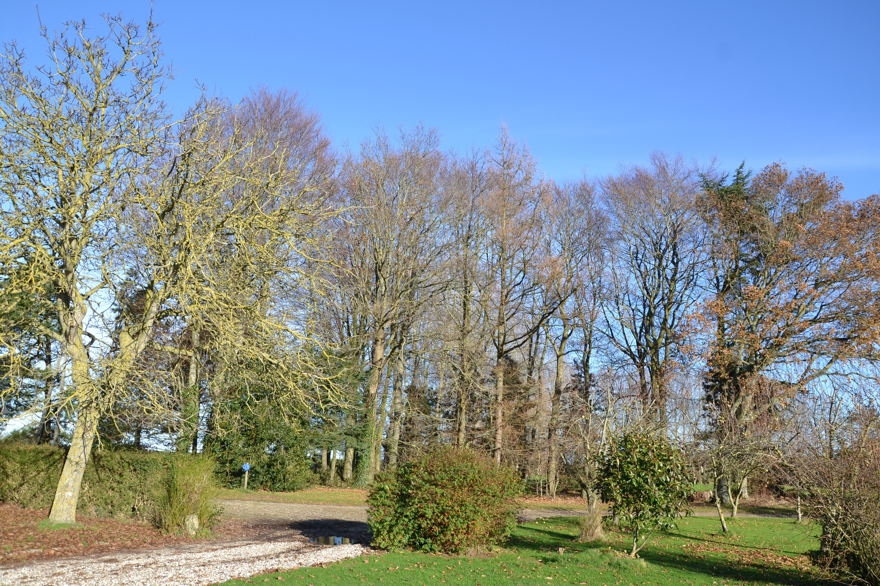 Image_, Maison, Gueutteville-les-Grès, ref :1204FR