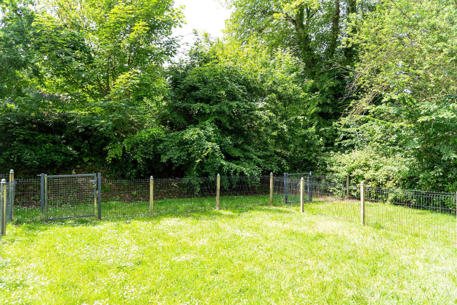 Image_, Maison, Ingouville, ref :1402fr