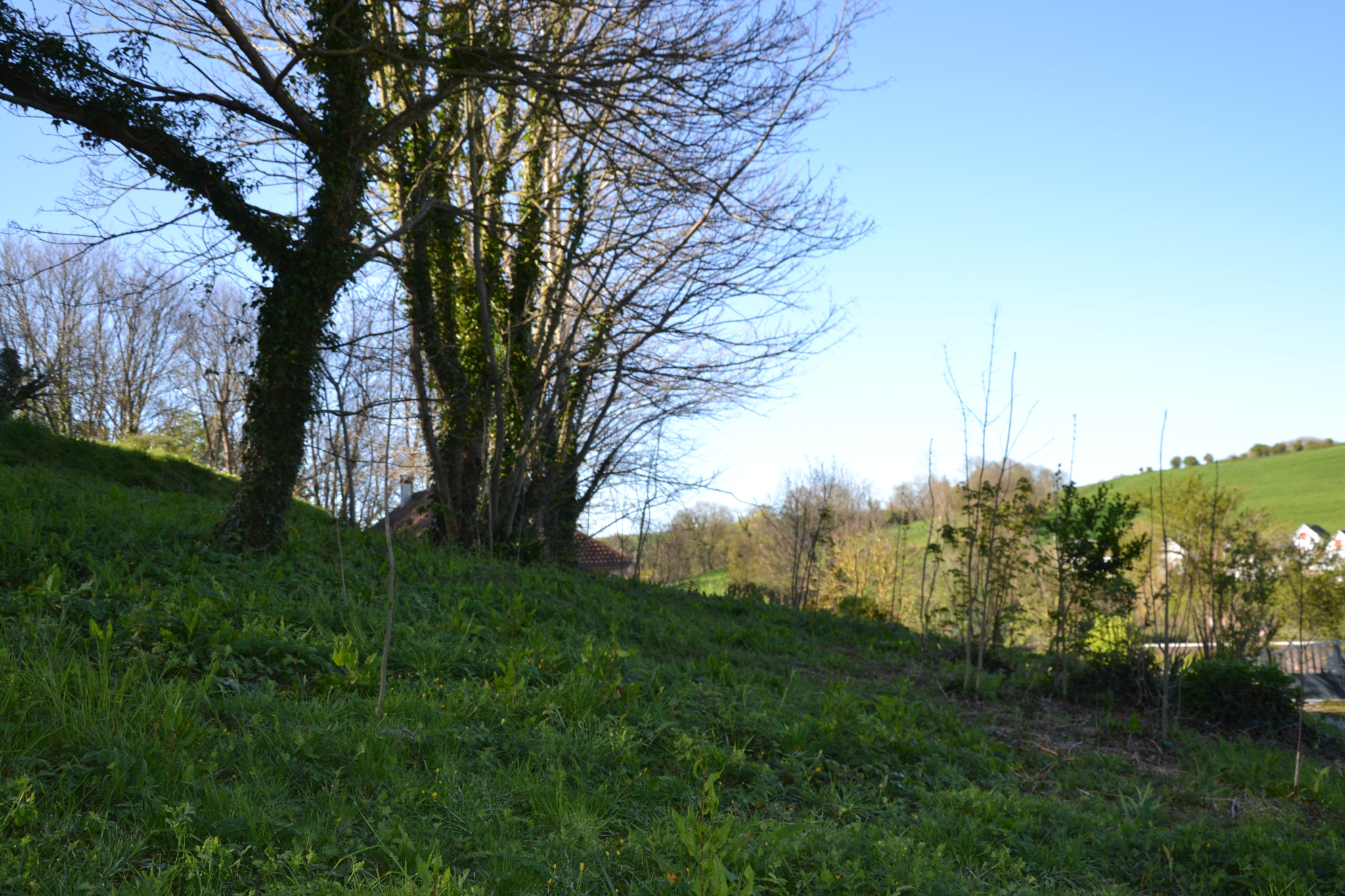 Image_, Terrain, Veulettes-sur-Mer, ref :1386FR