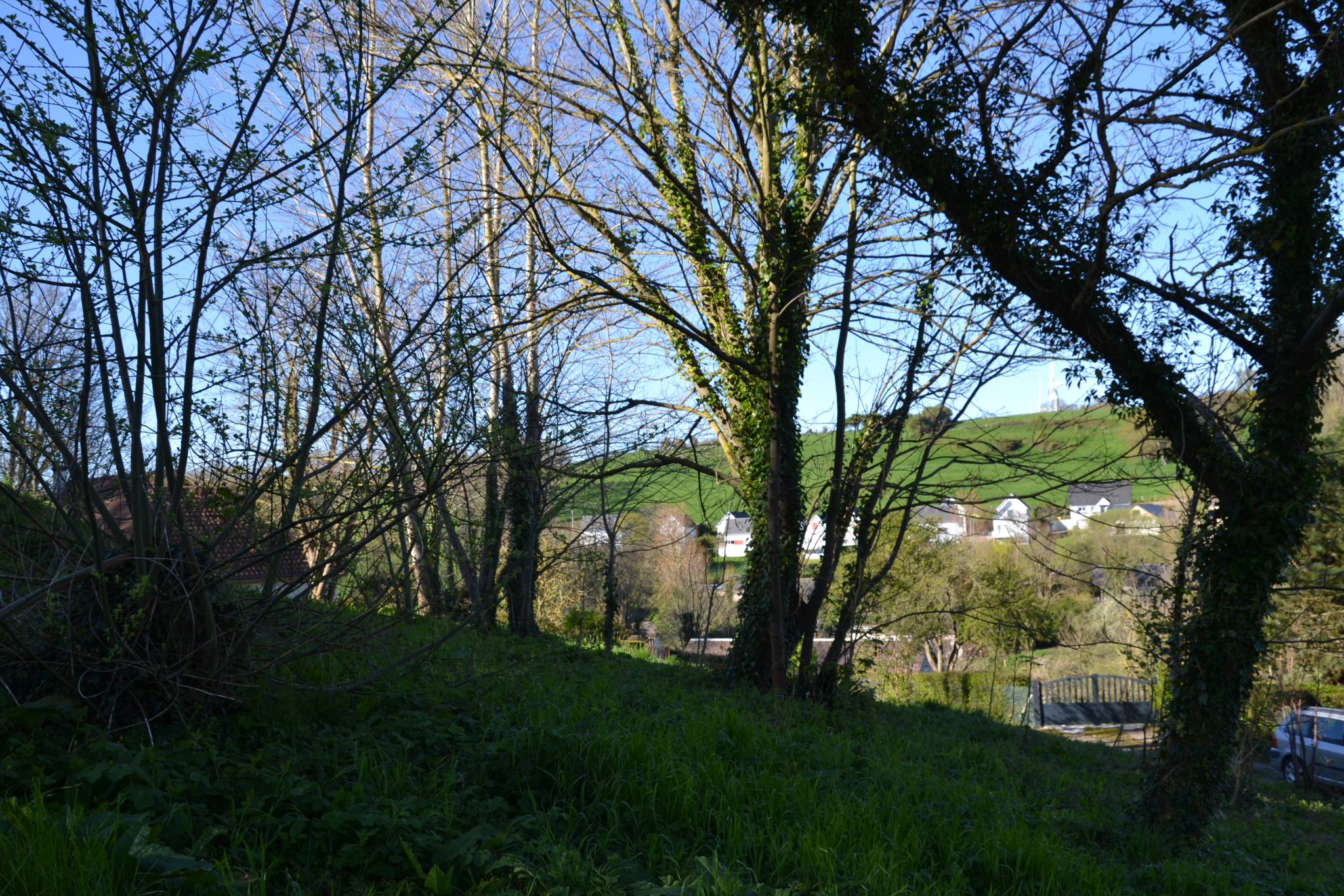 Image_, Terrain, Veulettes-sur-Mer, ref :1386FR