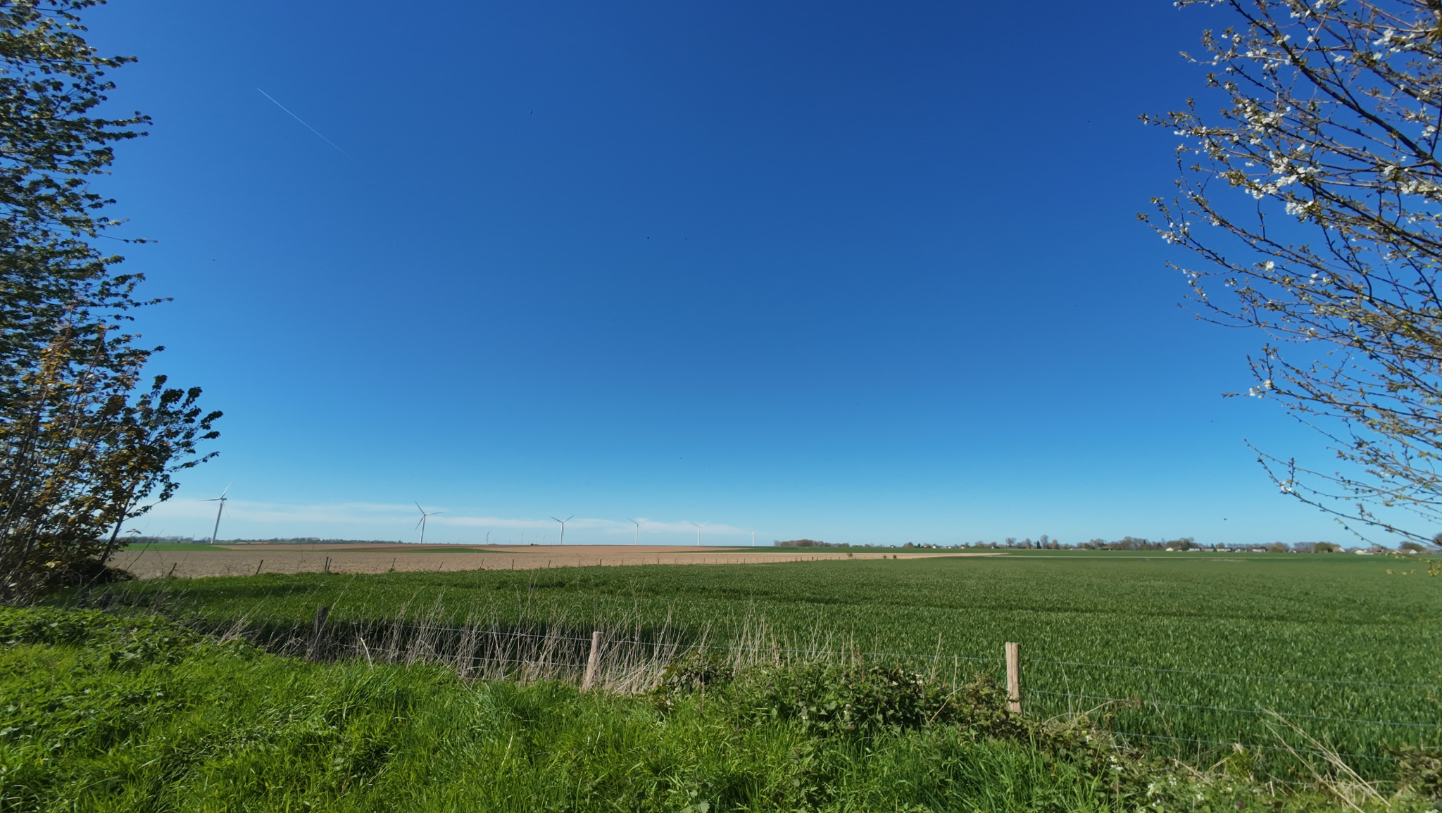 Image_, Maison, Thil-Manneville, ref :1387KD