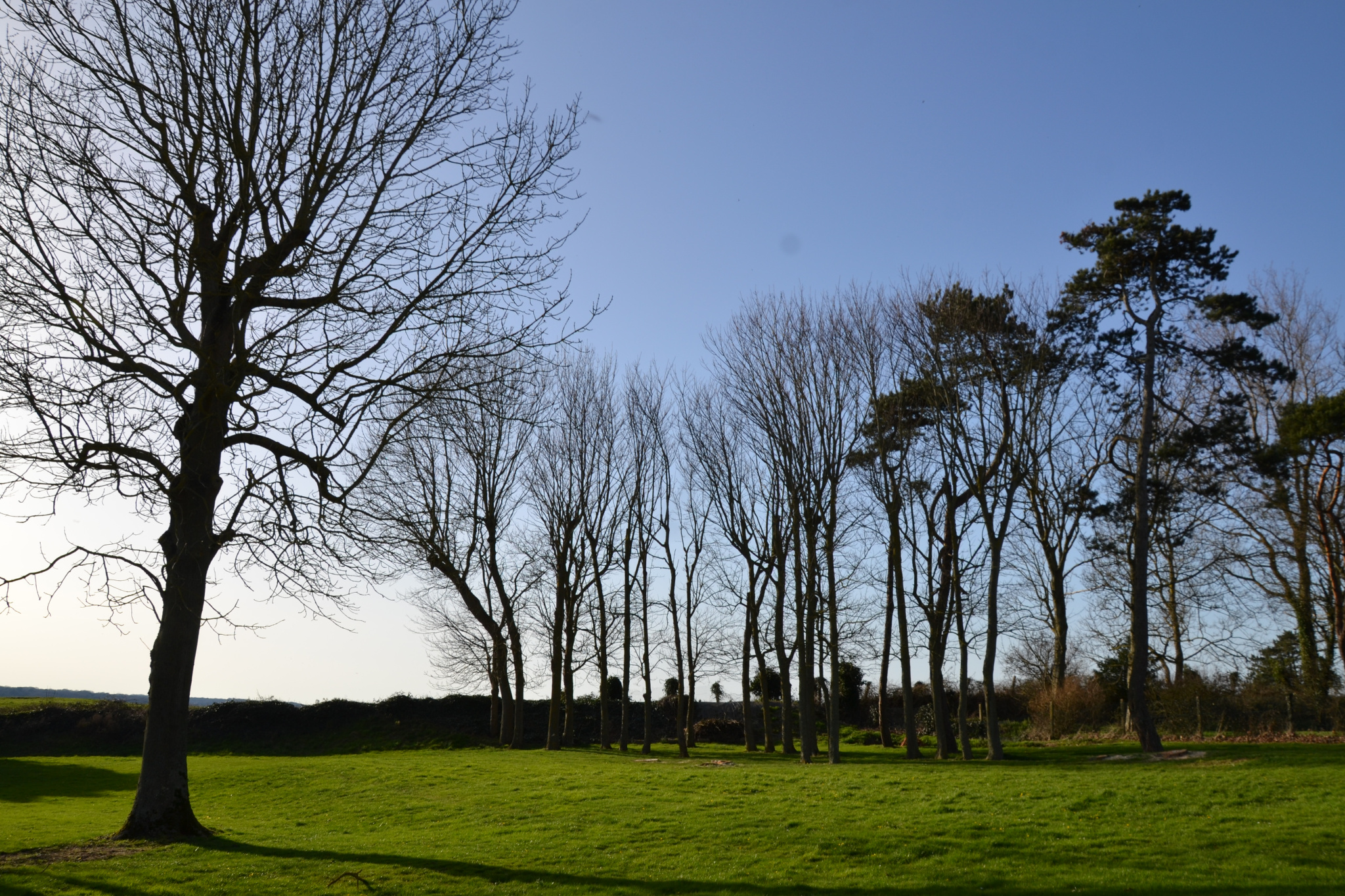 Image_, Maison, Dieppe, ref :1376FR