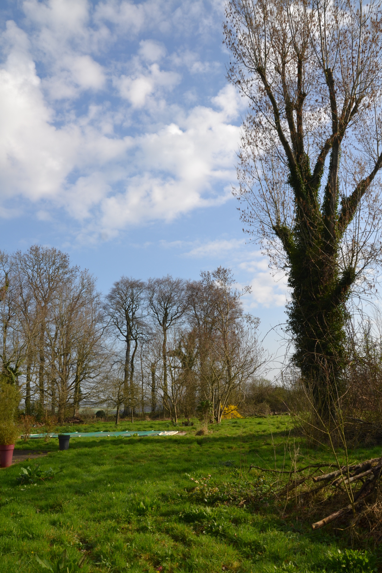 Image_, Maison, Drosay, ref :1378fr