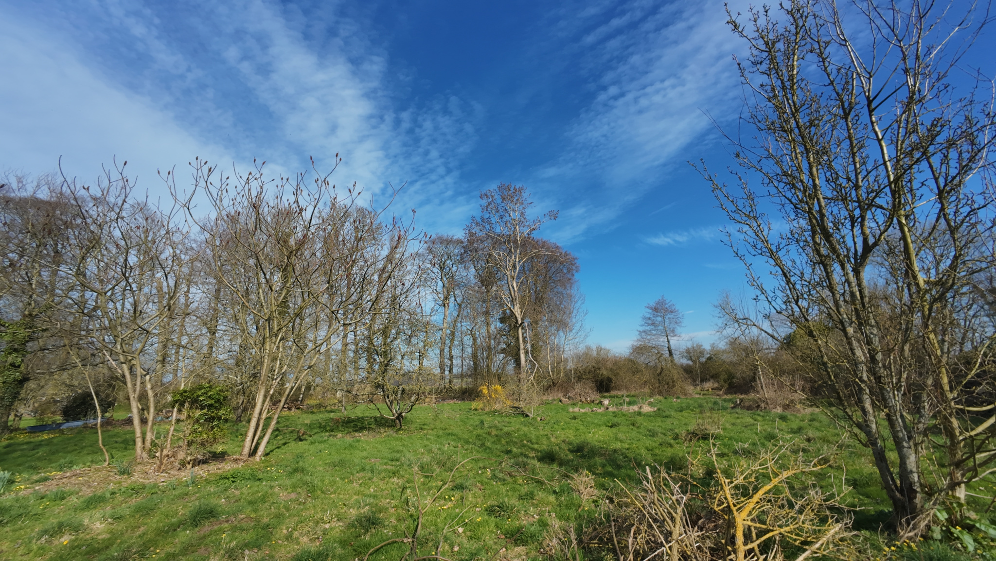 Image_, Maison, Drosay, ref :1378fr