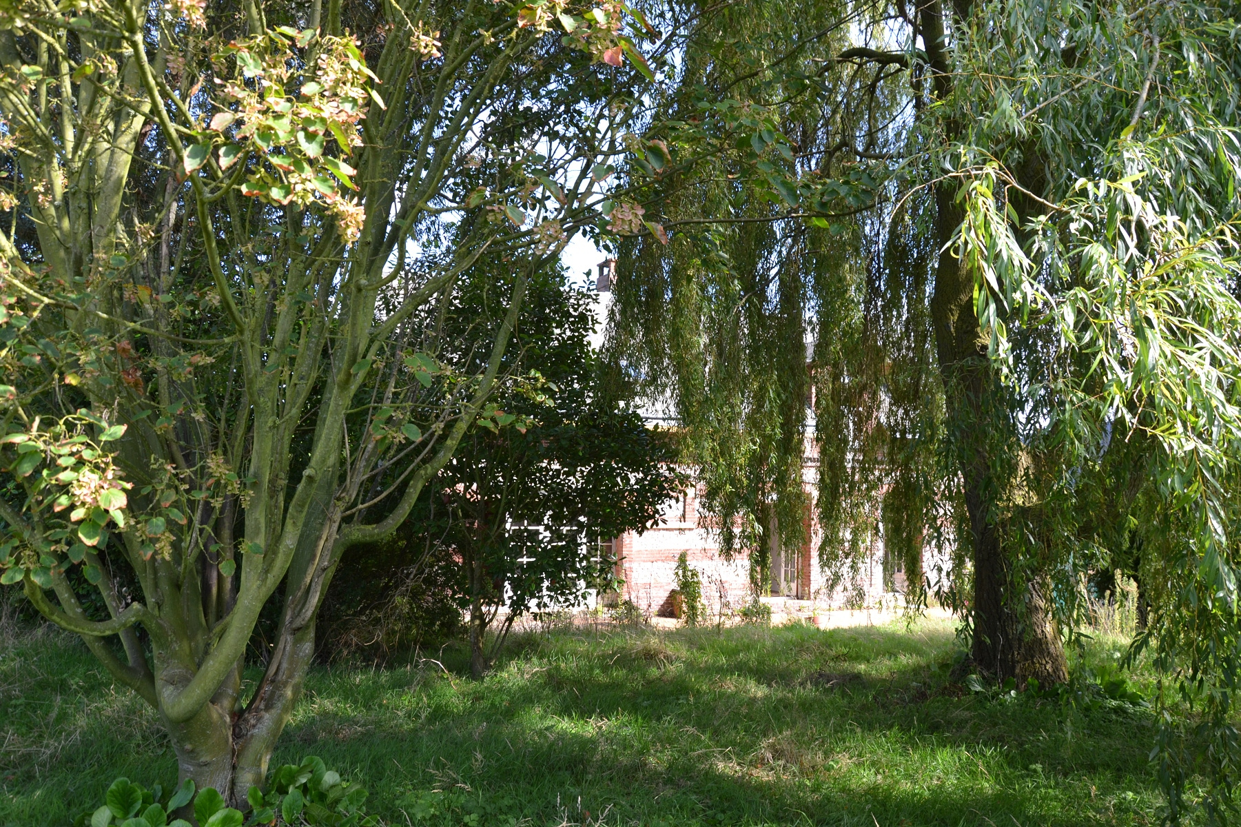 Image_, Maison, Néville, ref :1222 FR