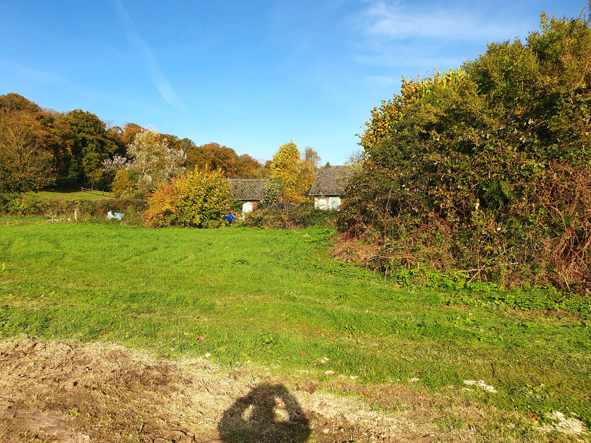 Image_, Terrain, Longueville-sur-Scie, ref :1353/SR