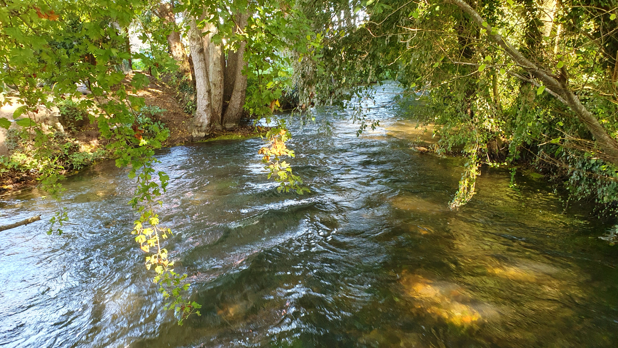 Image_, Terrain à batir, Torcy-le-Petit, ref :1322/SR