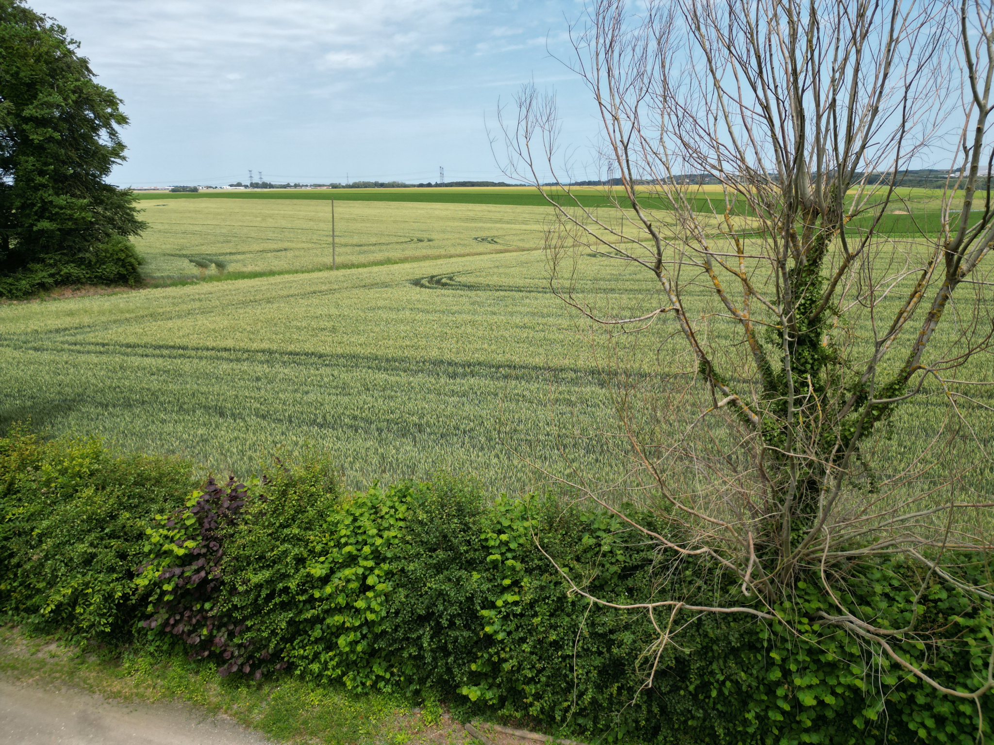 Image_, Maison, Ingouville, ref :1407fr