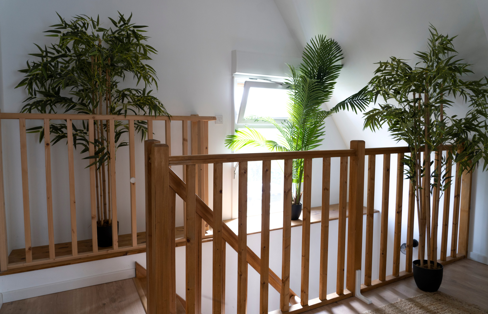 Image_, Maison, Ingouville, ref :1407fr